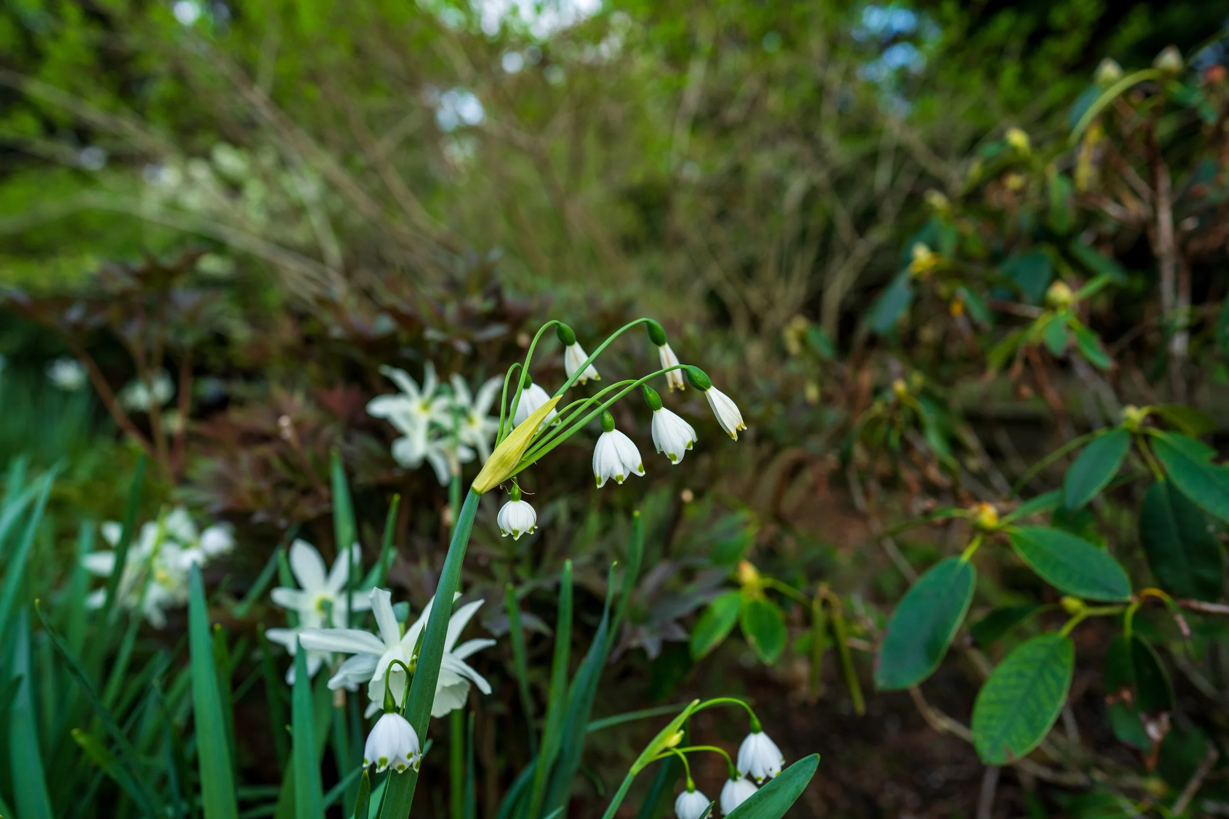 DSC01659.jpg