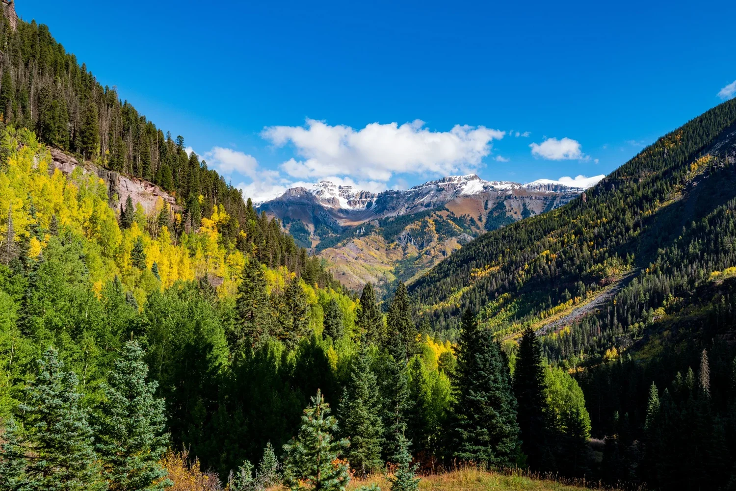 Colorado
