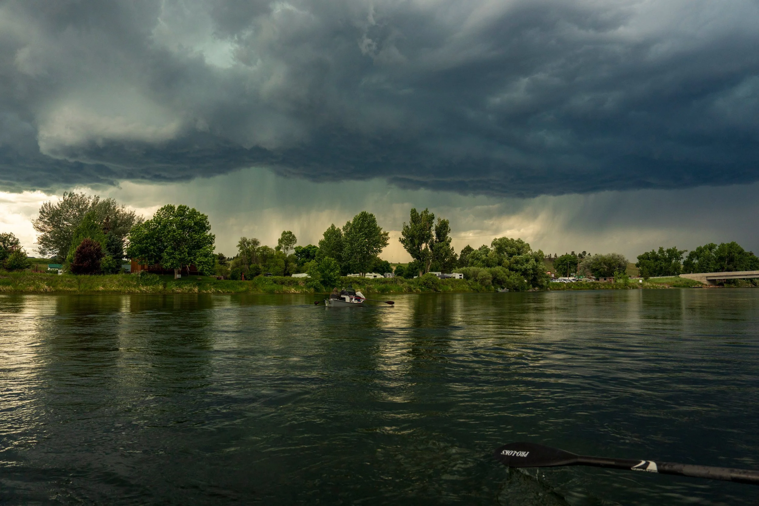 Approaching storm over cottonwoods, Montana