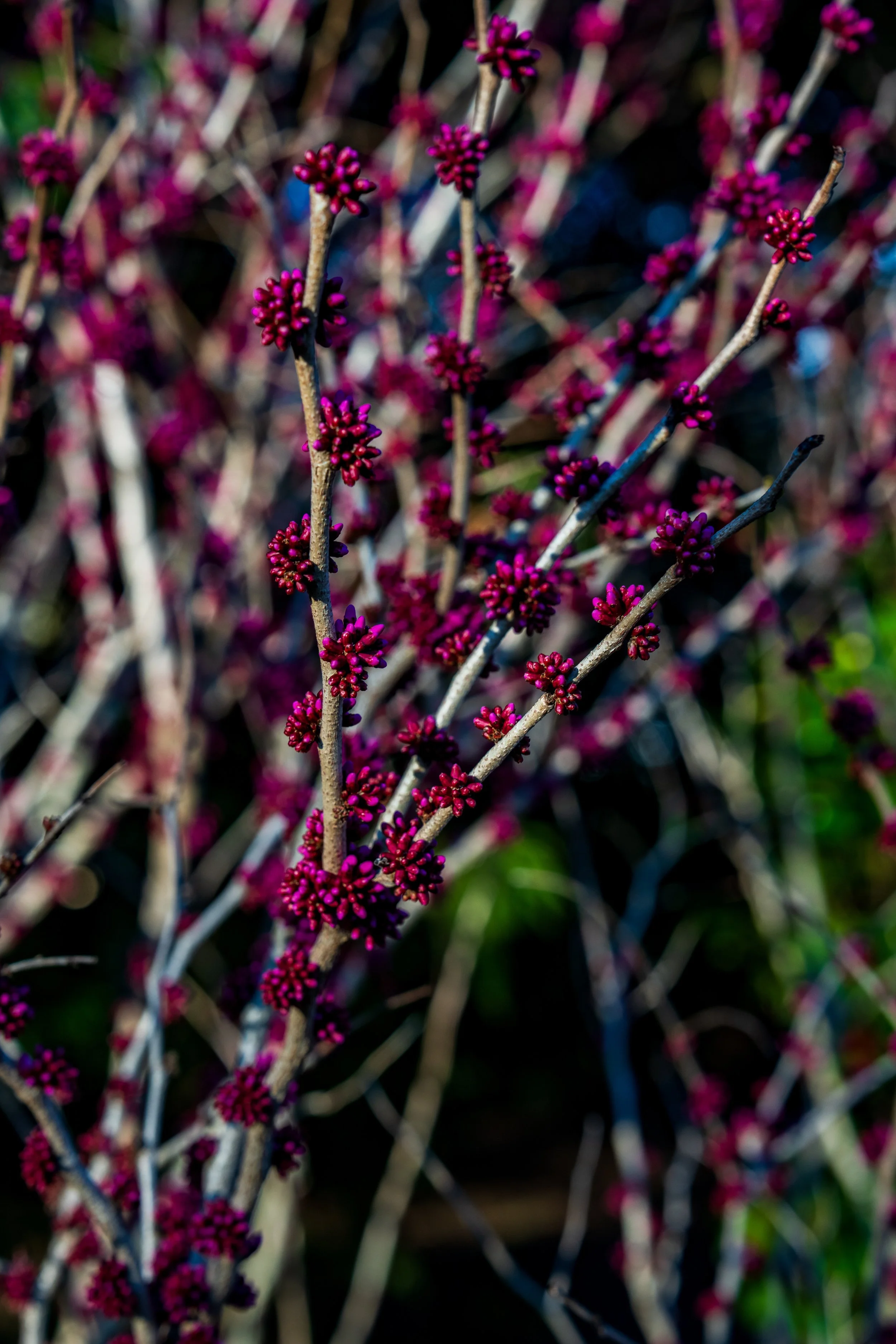 DSC09761.jpg