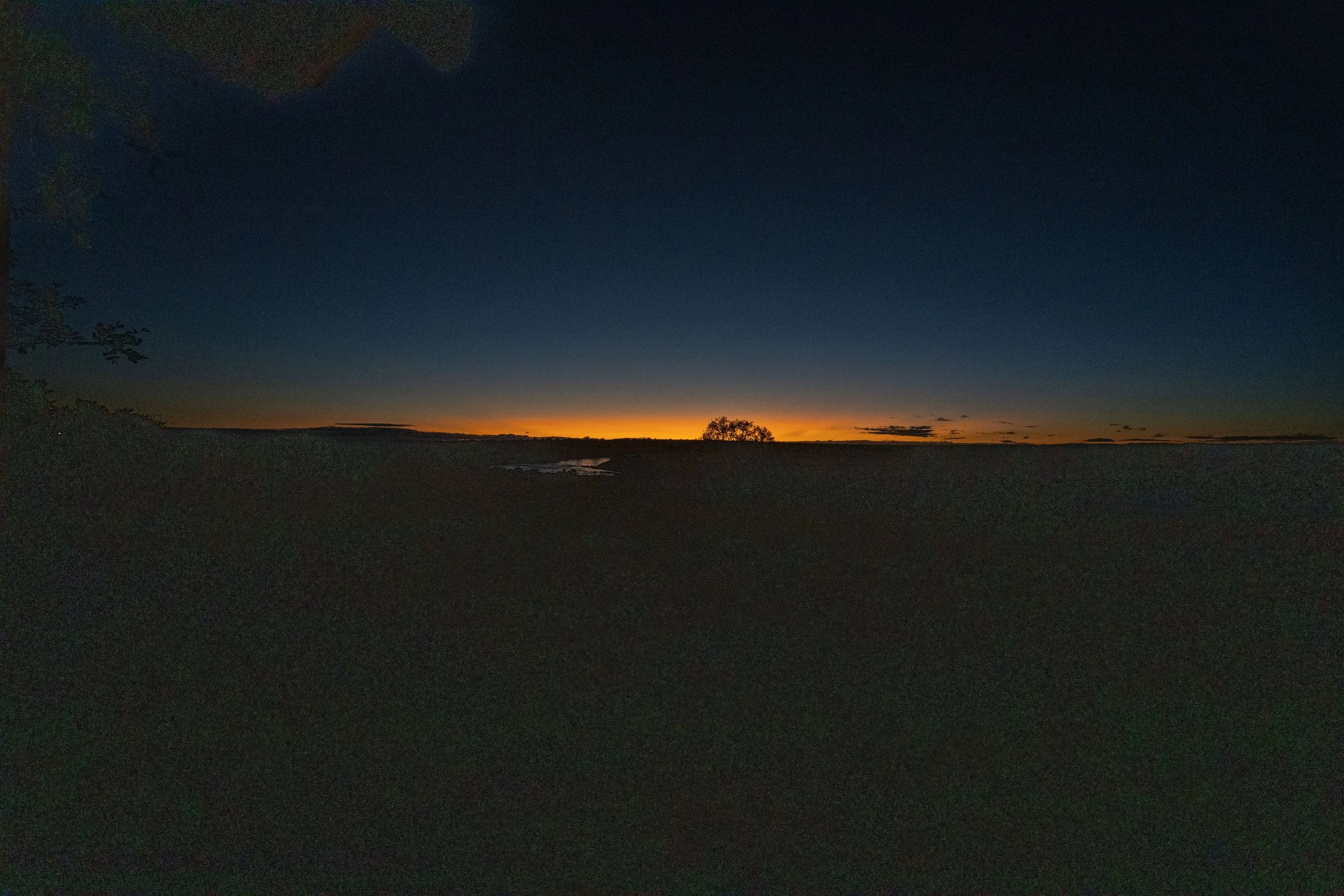 DSC01779.jpg