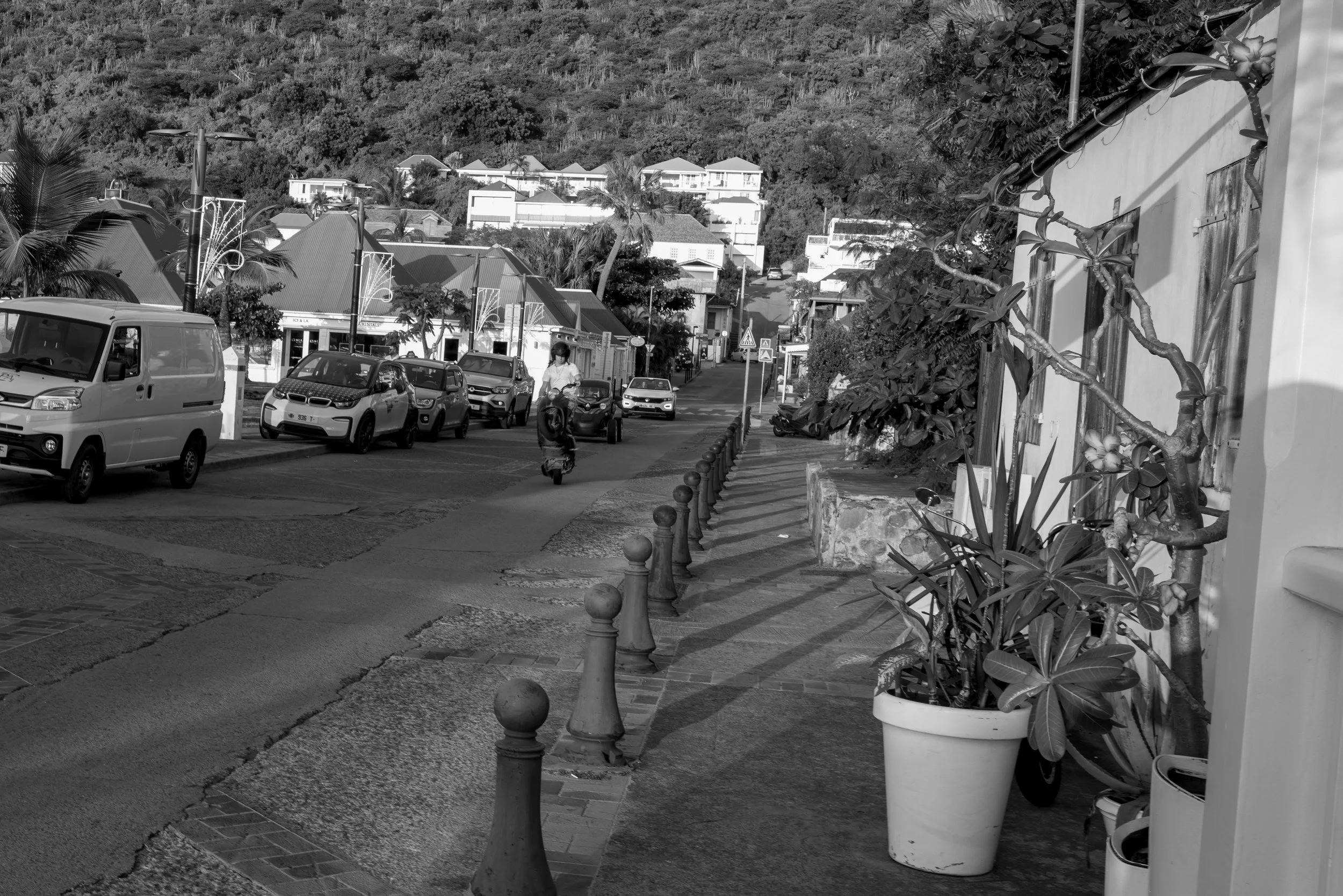 L1010233.jpg