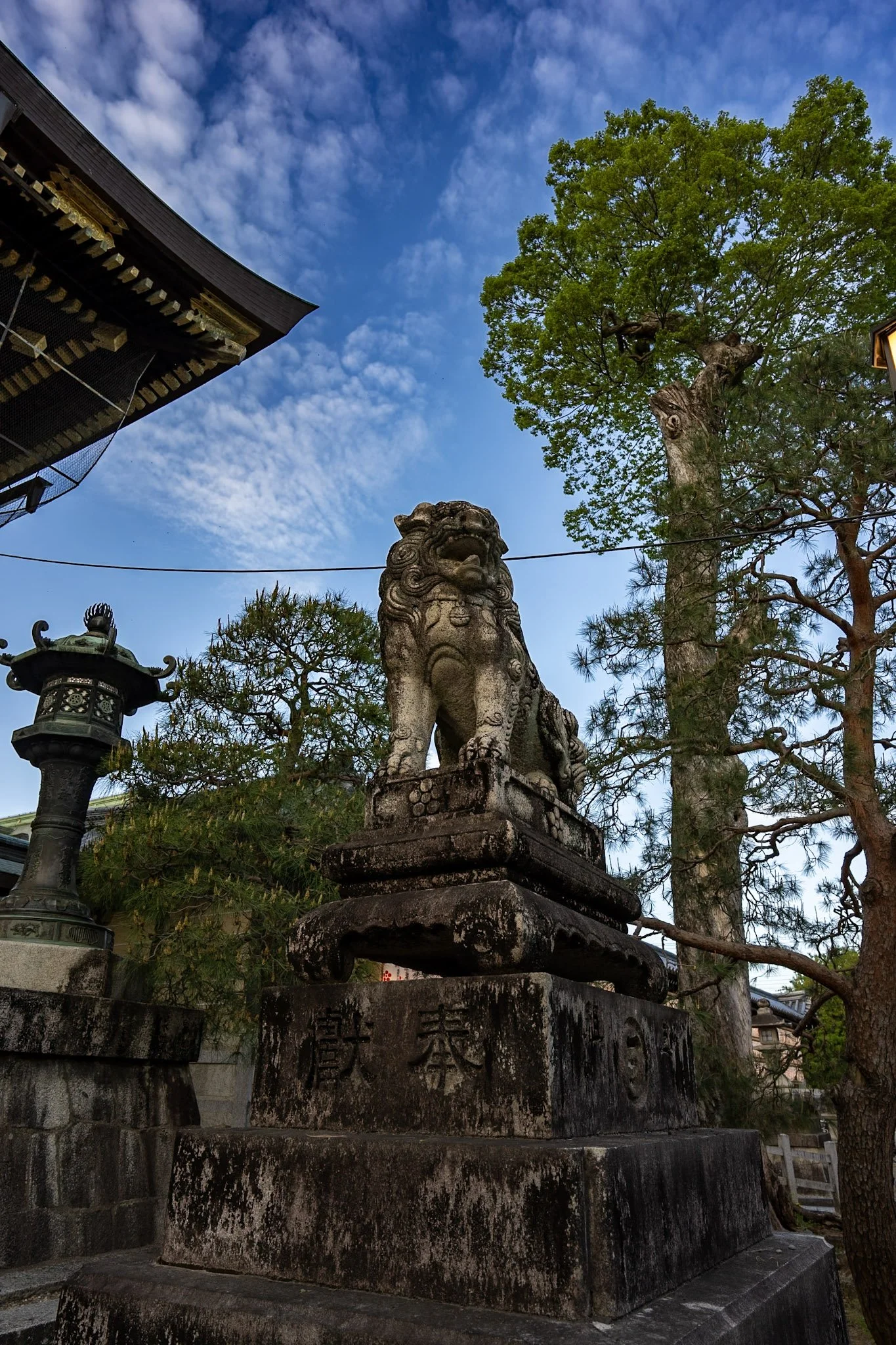 jp-2d3f5d6257de.jpg