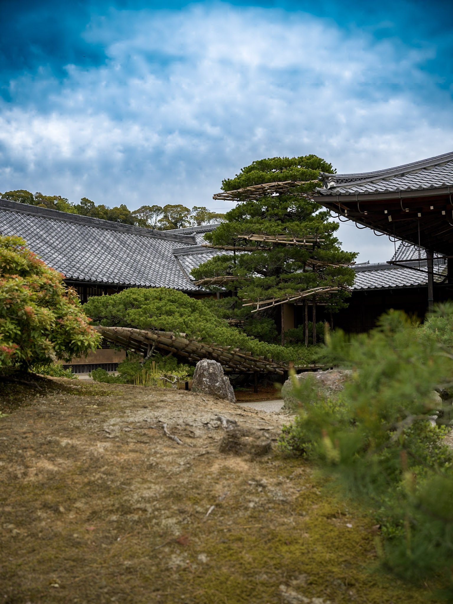 jp-df4f501624f4.jpg