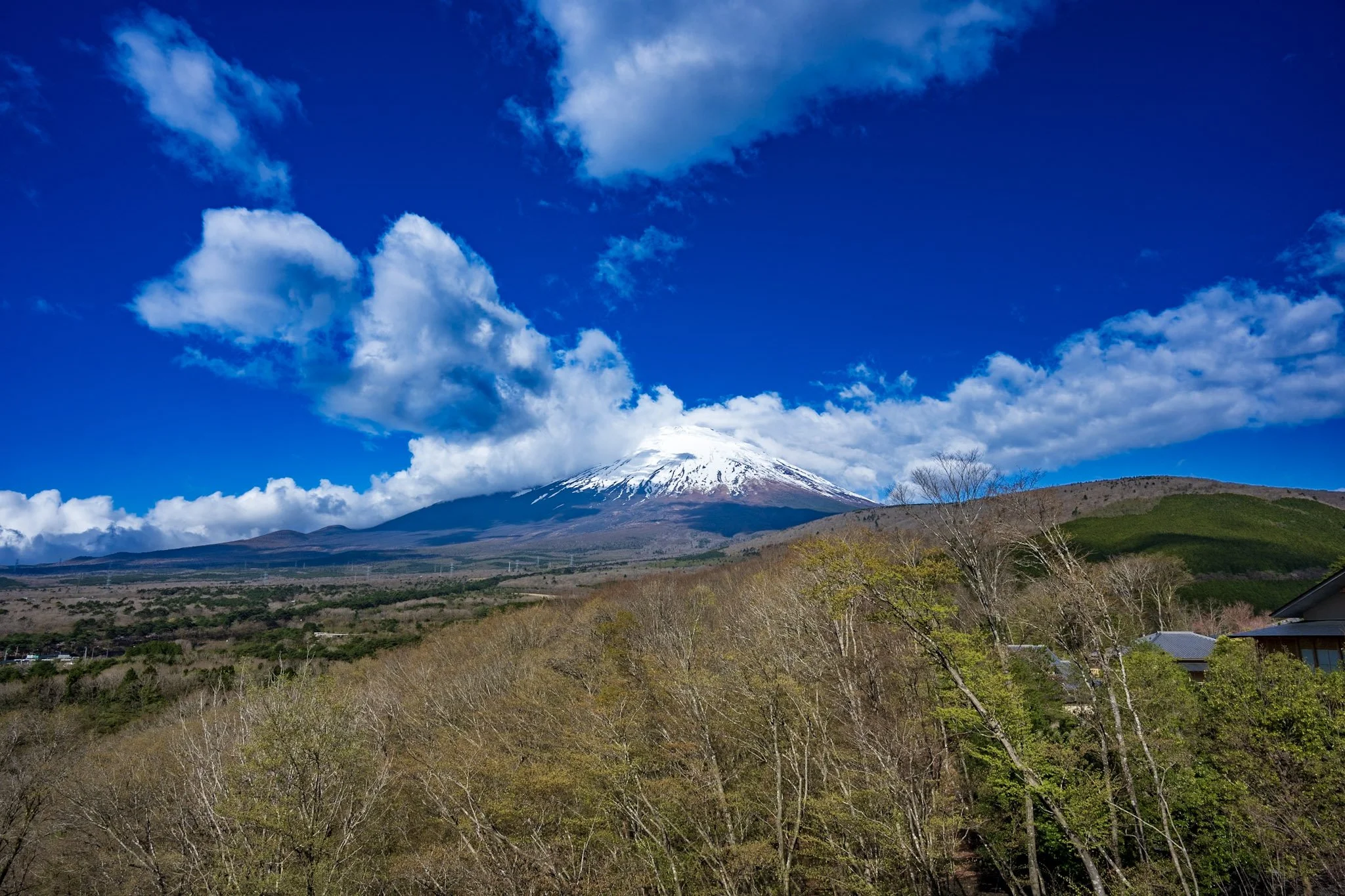jp-0cc083d27617.jpg