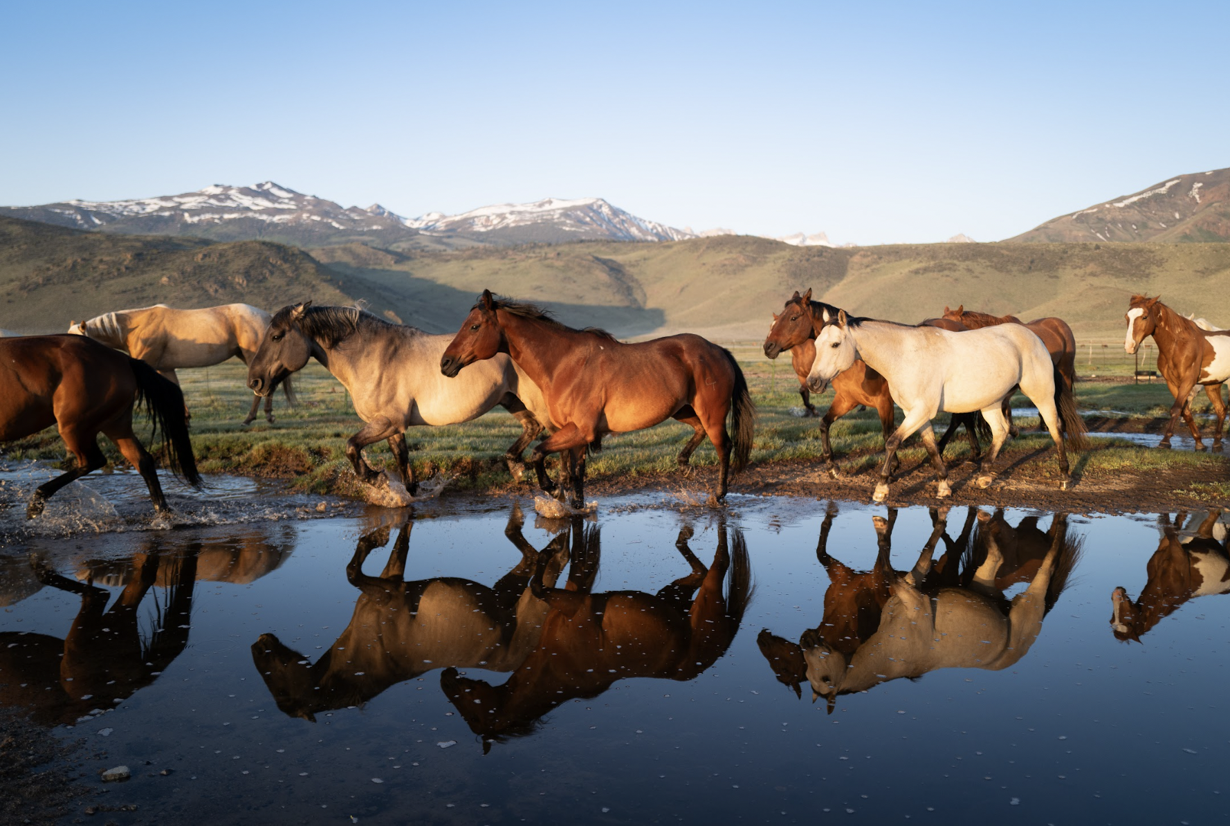 Hunnicutt Ranch Hunewill Ranch: A Place Where the Heart Comes Home — Hunewill