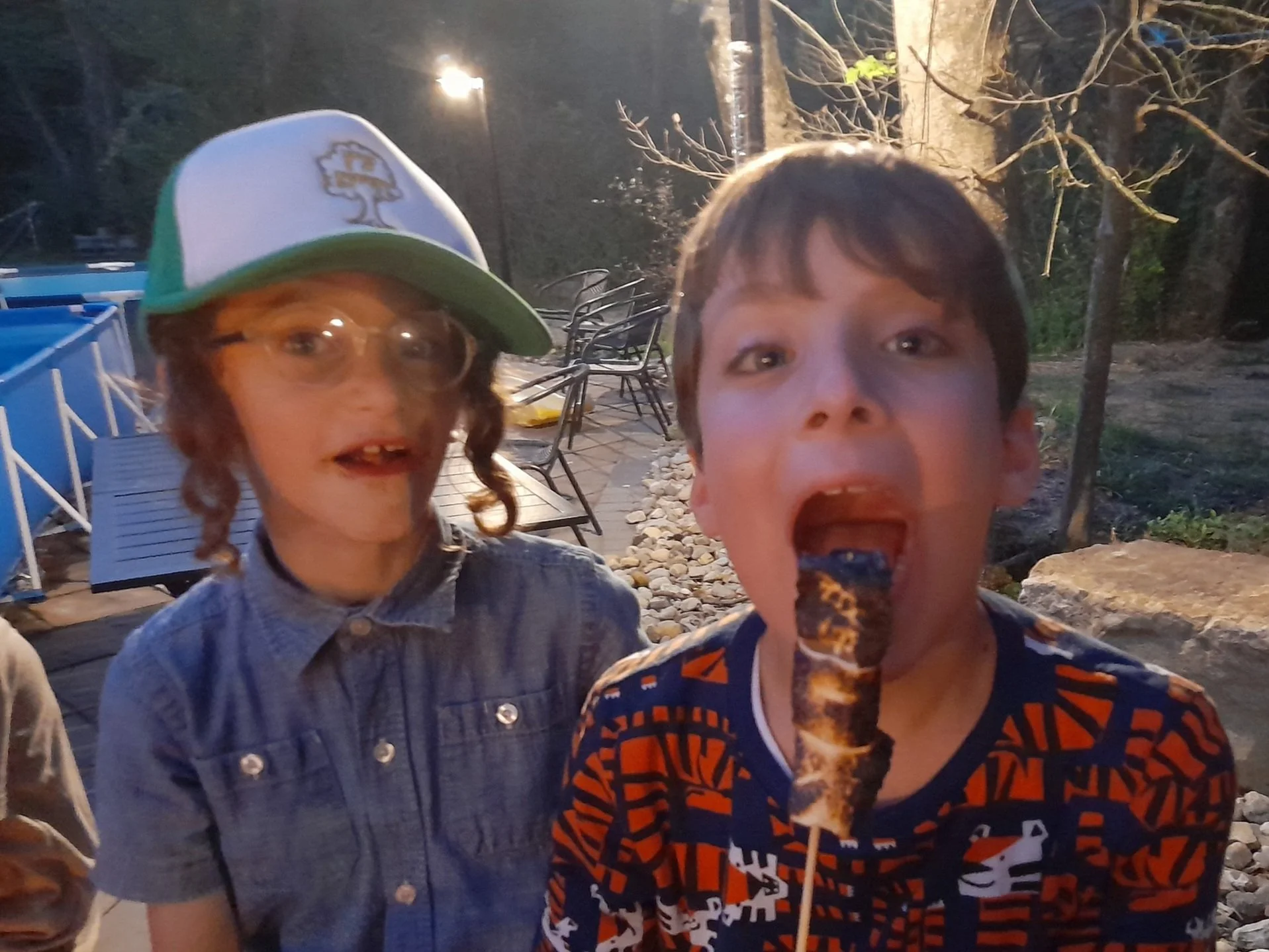 Two children outdoors, one wearing glasses and a cap, the other eating roasted marshmallows on a stick, with trees and patio furniture in the background.