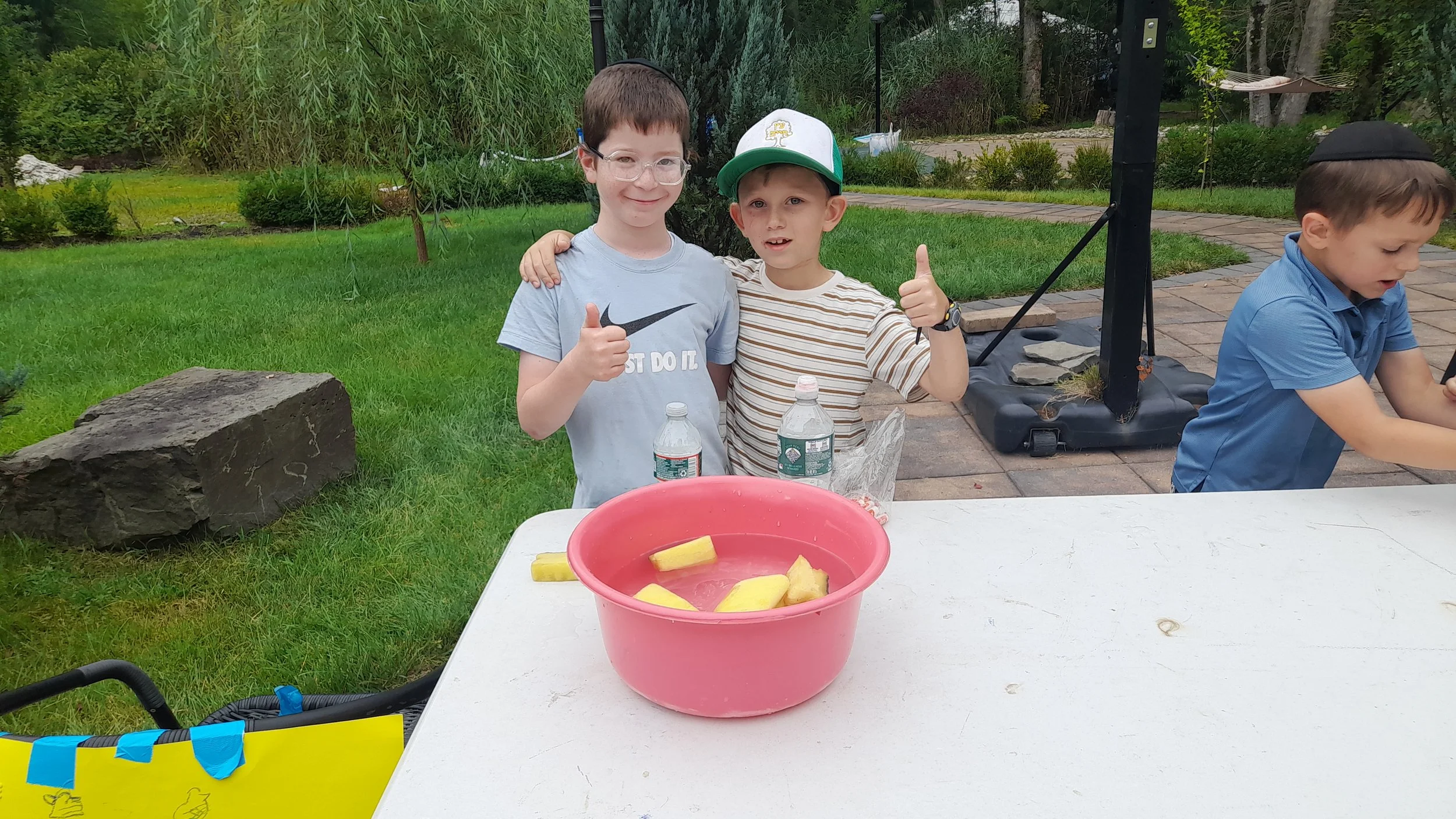 Two young boys, one with glasses, smiling with thumbs up, standing behind a table with a pink bowl of sliced pineapple, in a backyard garden. The boy with glasses is wearing a gray Nike t-shirt, and the other is wearing a striped shirt and a cap. The