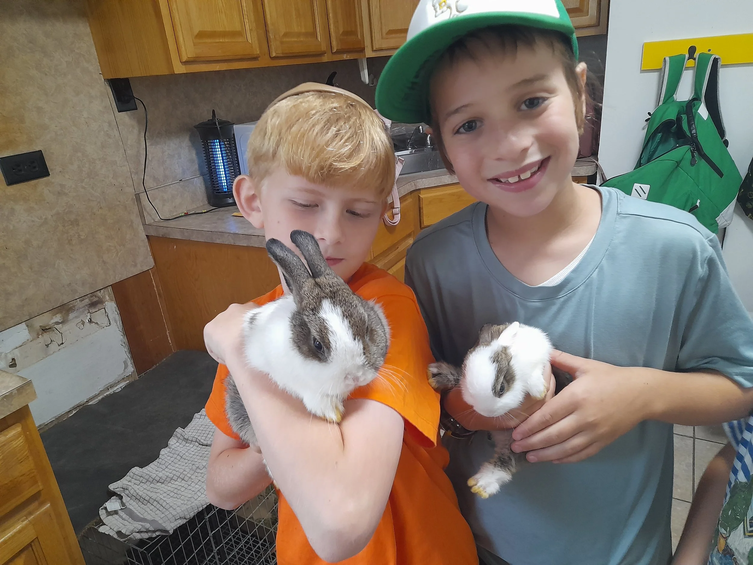Two boys holding and cuddling rabbits in a kitchen. One boy with red hair in an orange shirt holds a gray and white rabbit, while the other boy with a green cap and gray shirt holds a brown and white rabbit.
