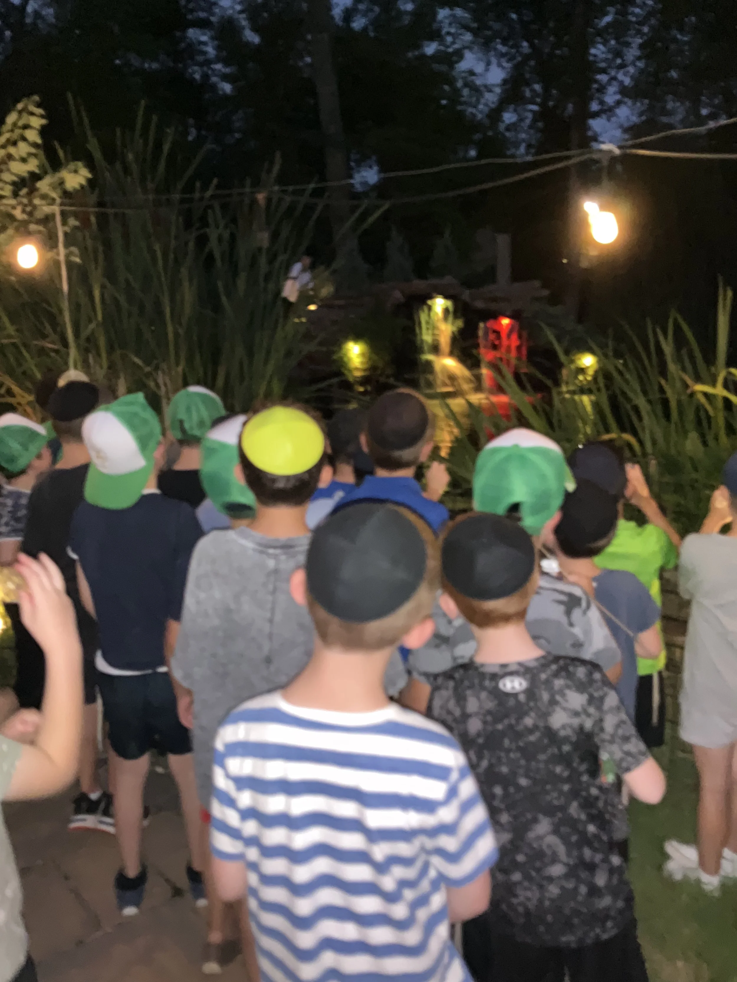 Group of children wearing hats observing a nighttime outdoor scene with string lights and greenery.