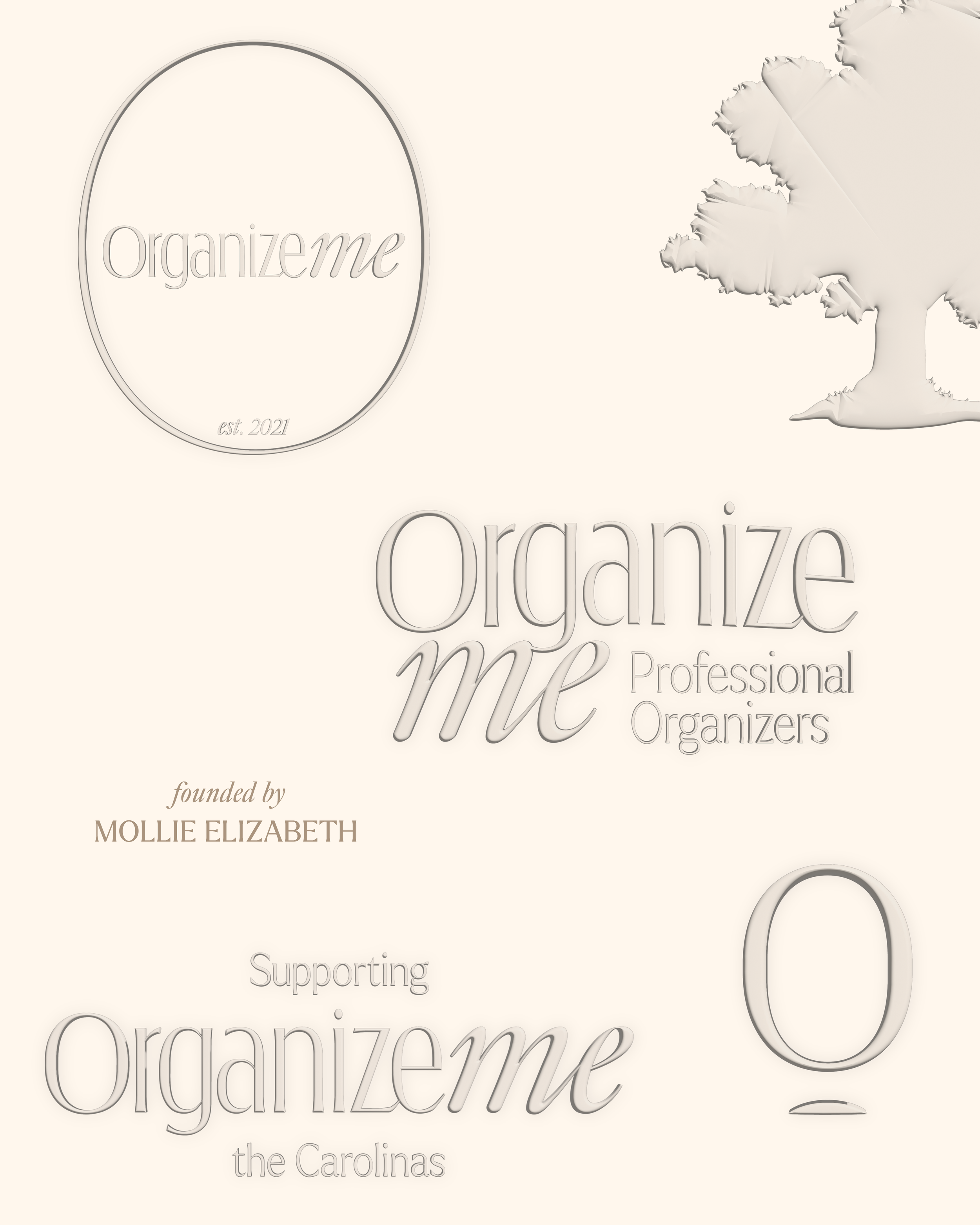 Professional Organizer