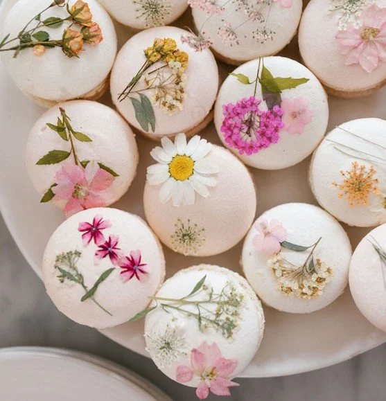 Open House Wedding Shower for Andrew Lengacher and Hannah Scott 