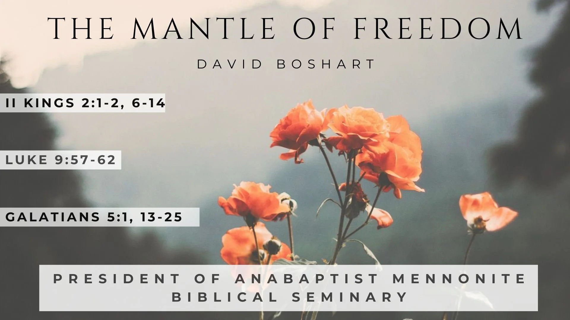 Henok Ordination.jpg