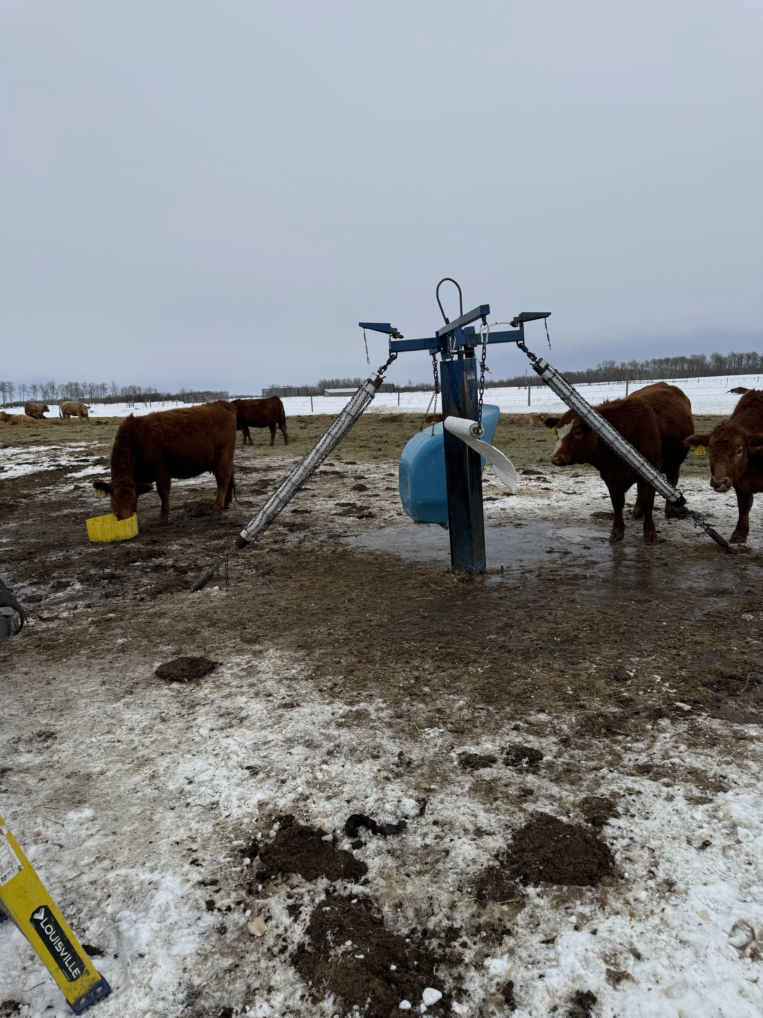 Grande Prairie customer replacement wicks changed out