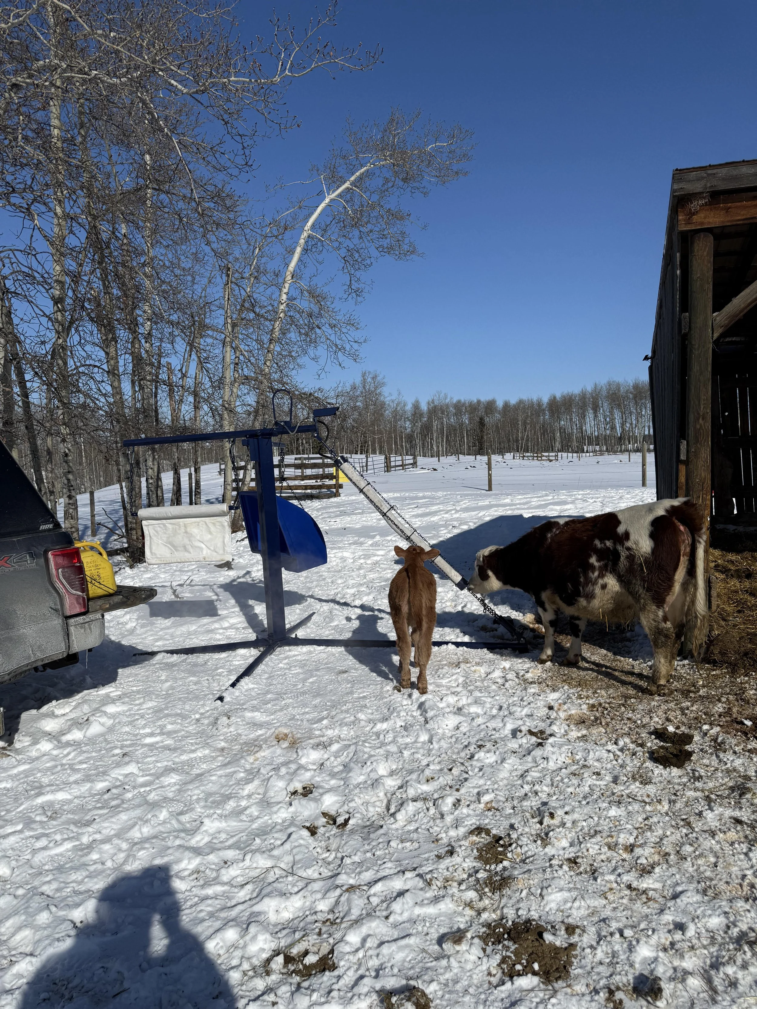 Woking customer 2026