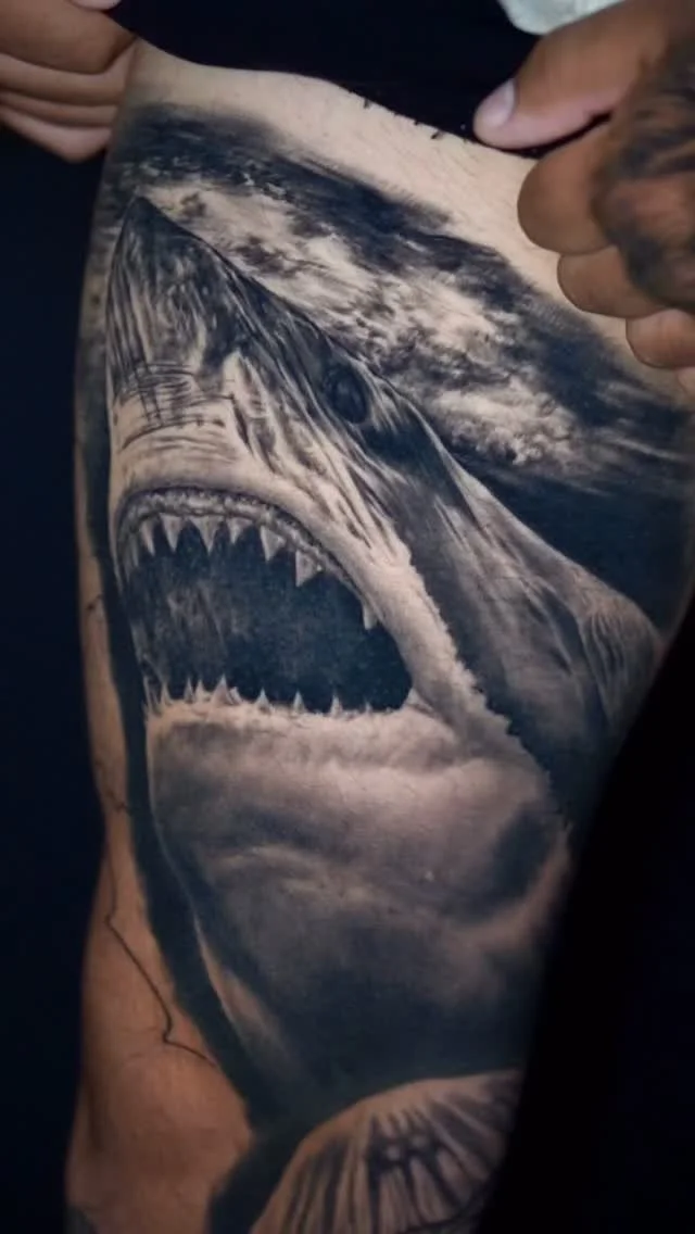 Healed shark tattoo π¦
Www.Alanbarbosatattoos.com
#tattoo #alanbarbosatattoos #tattoo #cttattooartist #valkyrietattoostudio #explorepage #blackandgreytattoo #tattooartist #cttattoo