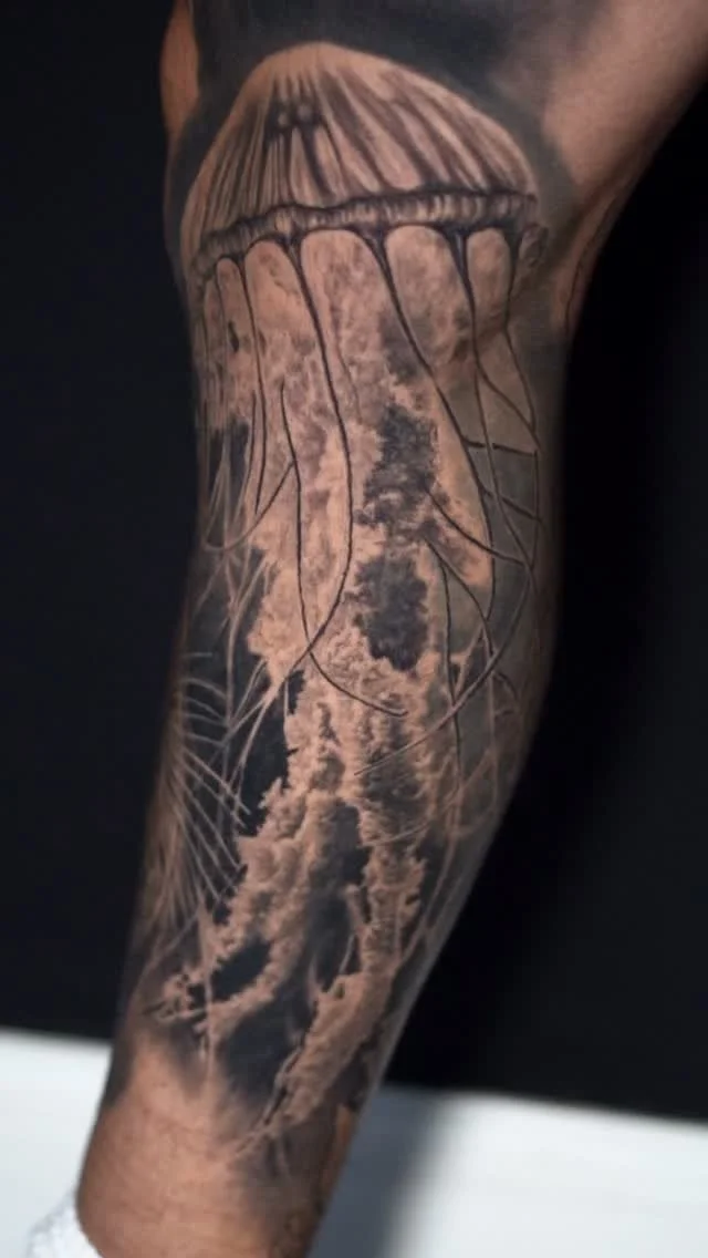 Healed jellyfish πͺΌπͺΌπͺΌ
#tattoo #tattooartist #alanbarbosatattoos #valkyrietattoostudio #ink #healedtattoo #cttattooartist