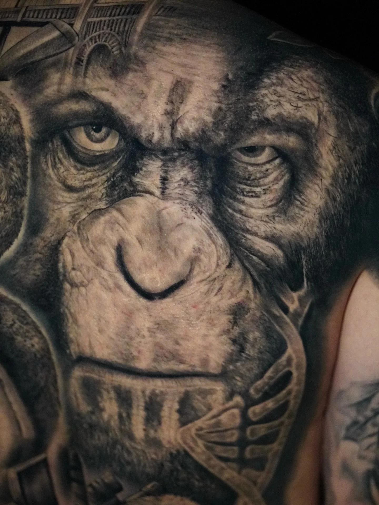 Healed planet of the apes 🦍 

For booking and info go to
 www.Alanbarbosatattoos.com

#tattoo #alanbarbosatattoos #valkyrietattoostudio #planetoftheapes #healedtattoo