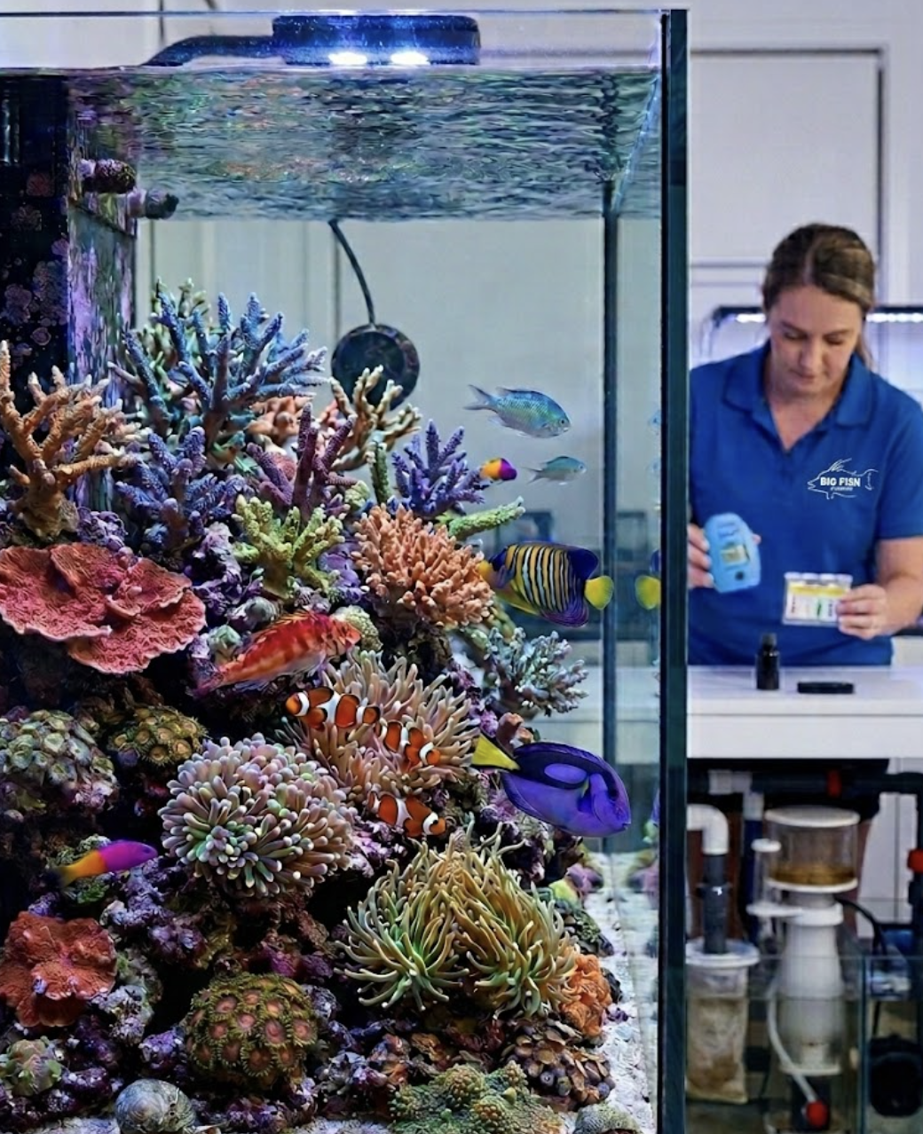 An aquarium maintenance technician tests water quality next to a vibrant coral reef tank in Oak Park.