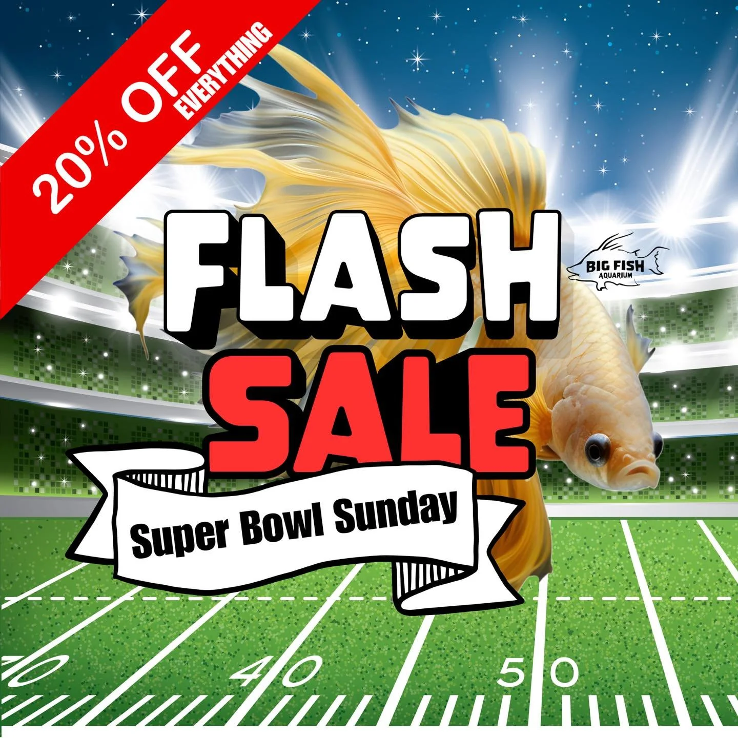 🏈 Super Bowl Sunday Sale at Big Fish Aquarium! 🐠
TODAY ONLY &mdash; 20% OFF EVERYTHING in the store! 🎉💸

🐟 Fish &bull; Tanks &bull; Supplies &bull; Decor &mdash; ALL on sale!
Stock your tank, upgrade your setup, and score big before kickoff! 🏆
