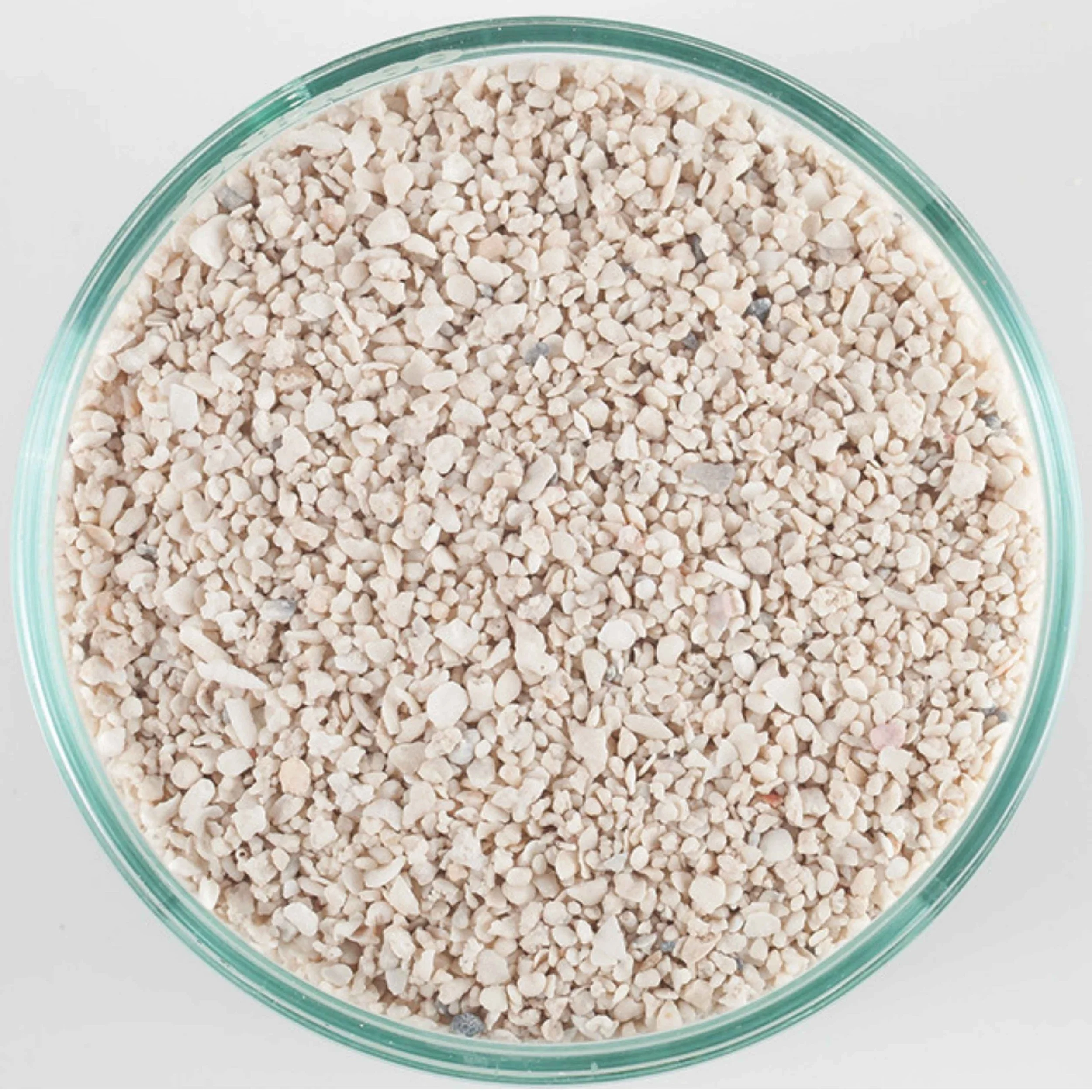 Arag-Alive Special Grade Reef Sand.jpg