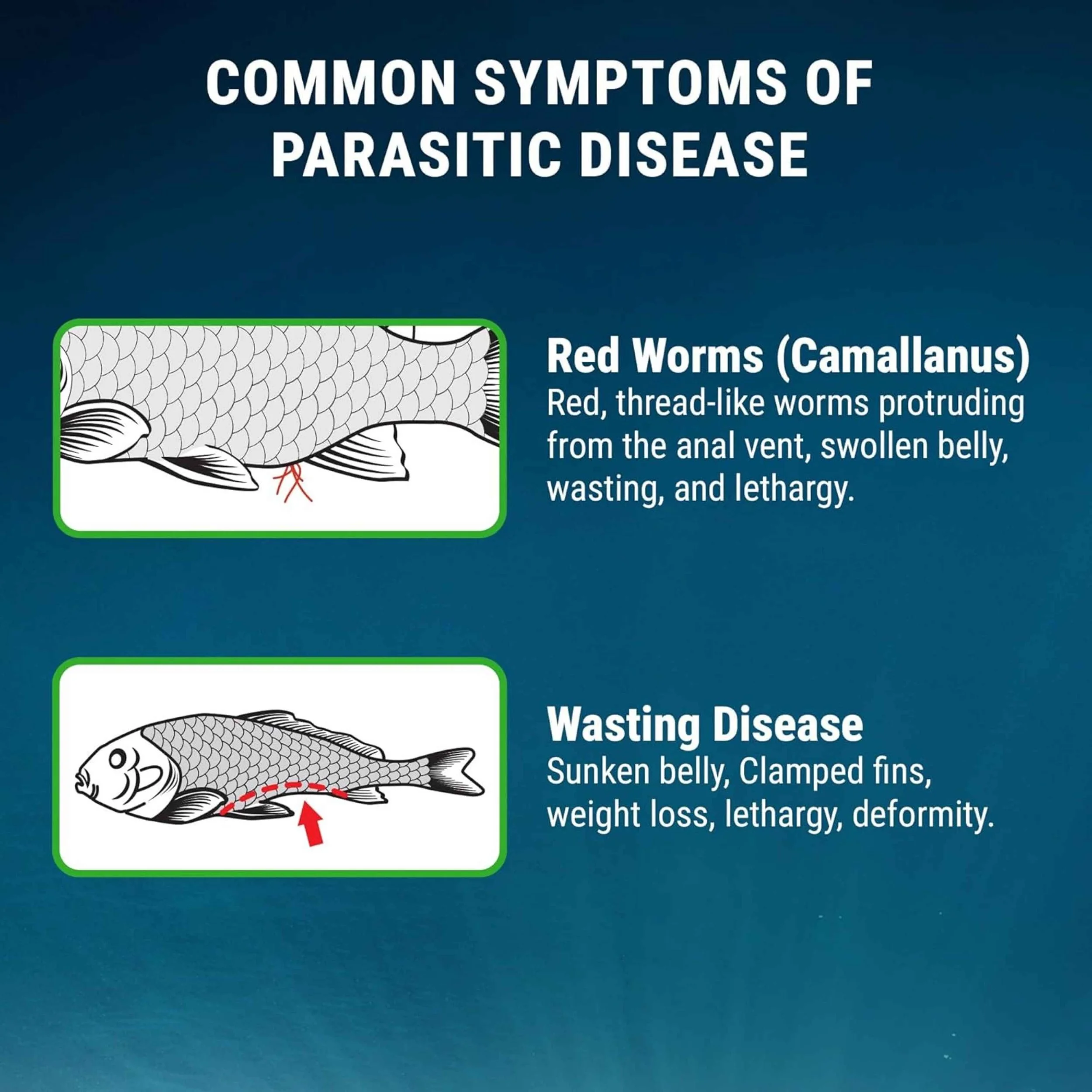 Fritz Expel-P – 20 Count Symptoms.jpg