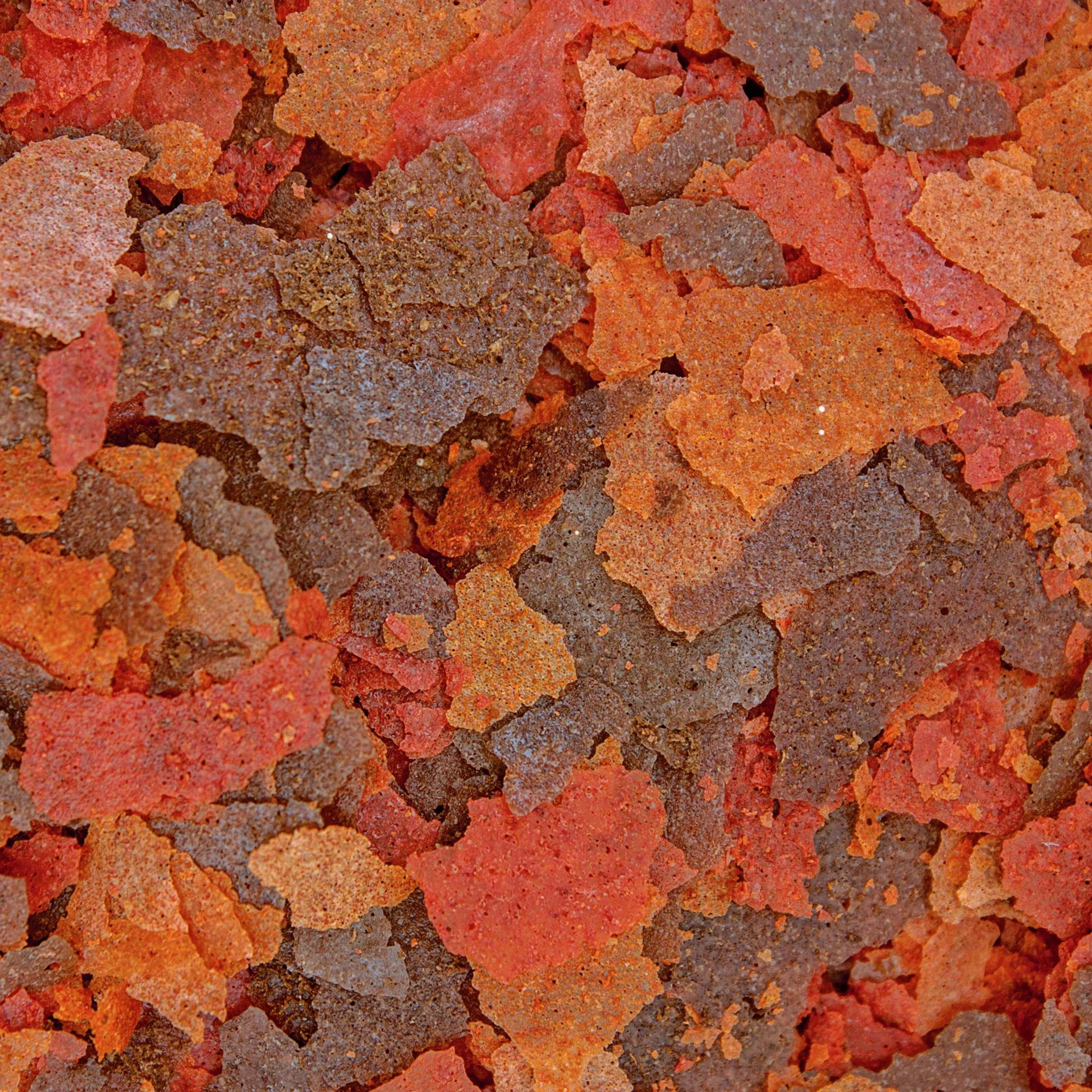 Brine Shrimp Plus Flakes Product.jpg