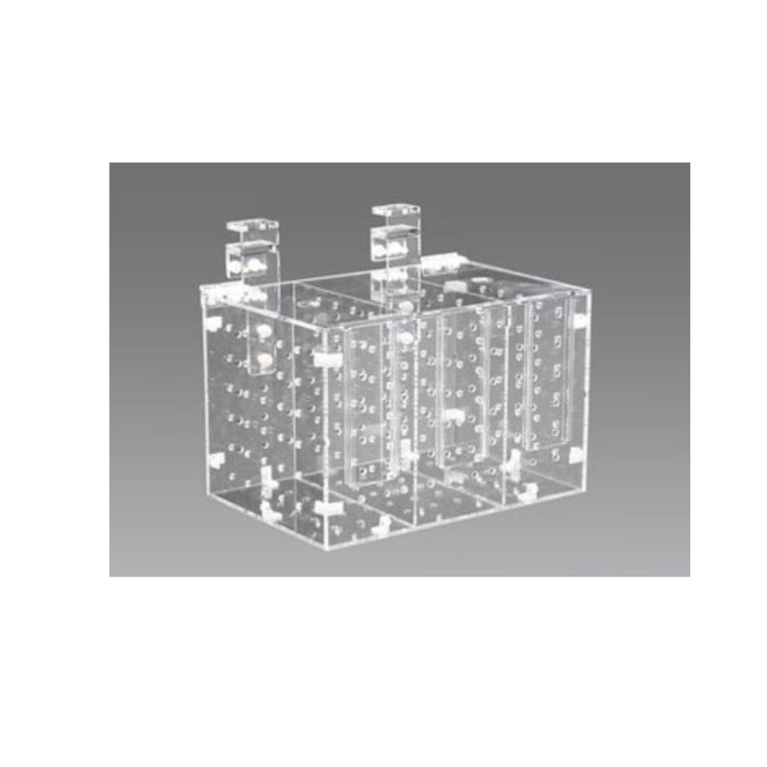 Isolation and Acclimation Box - Red Sea Star.png