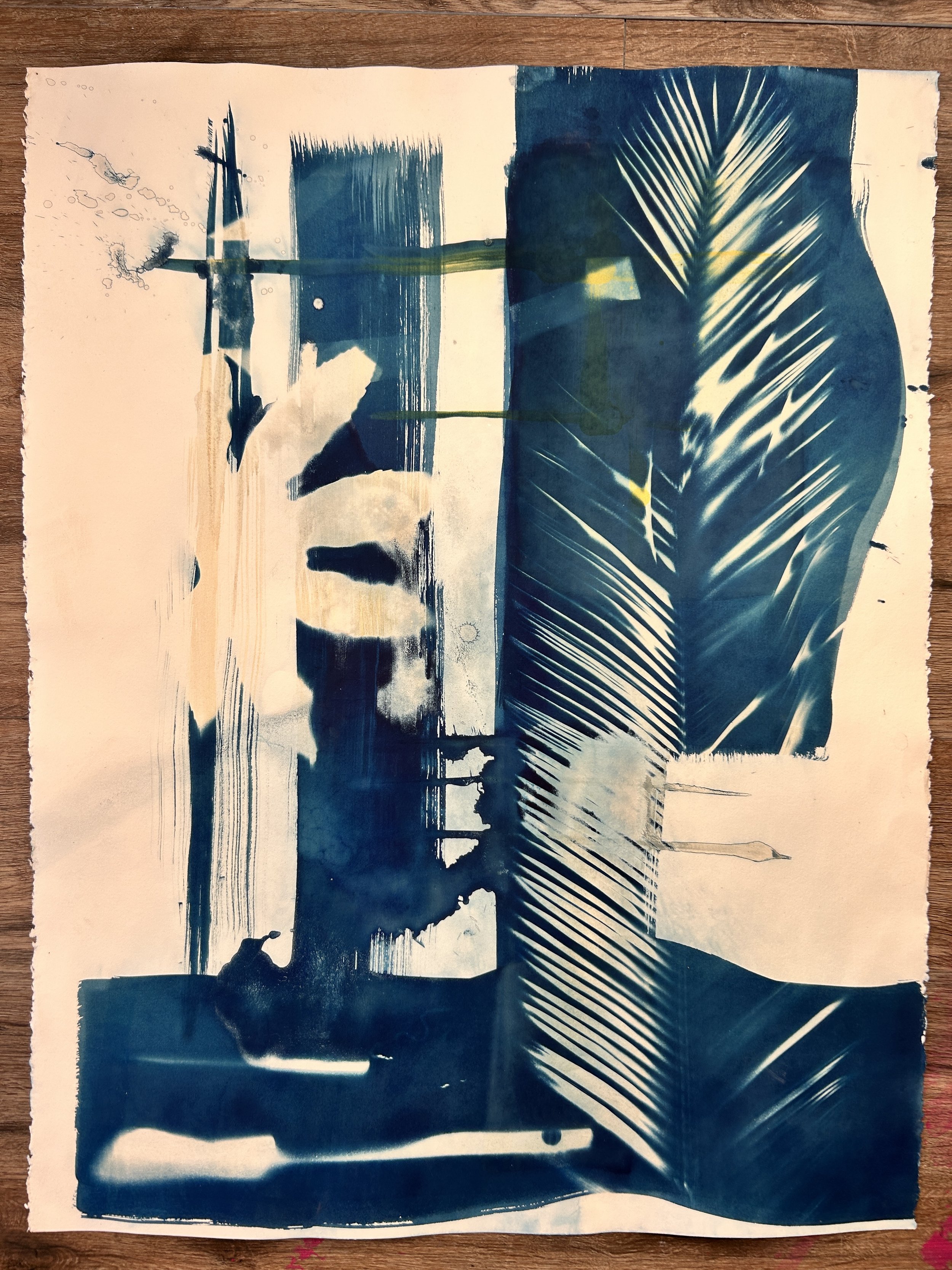 field brush, 2024