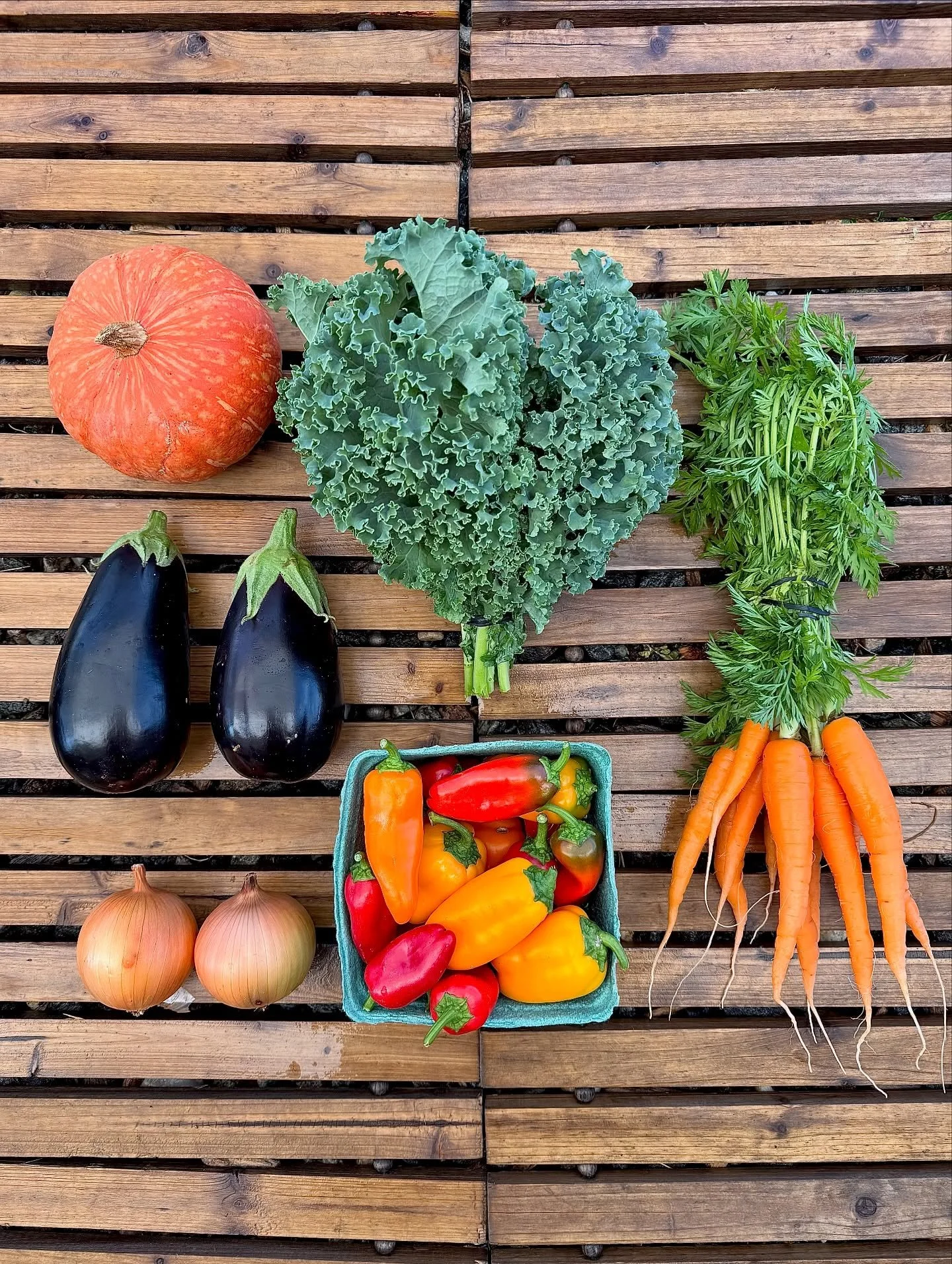 Week 18 🍲 

Red Kuri Squash
Curly Kale
Carrots
Lunchbox Peppers
Yellow Onions
Italian Eggplant