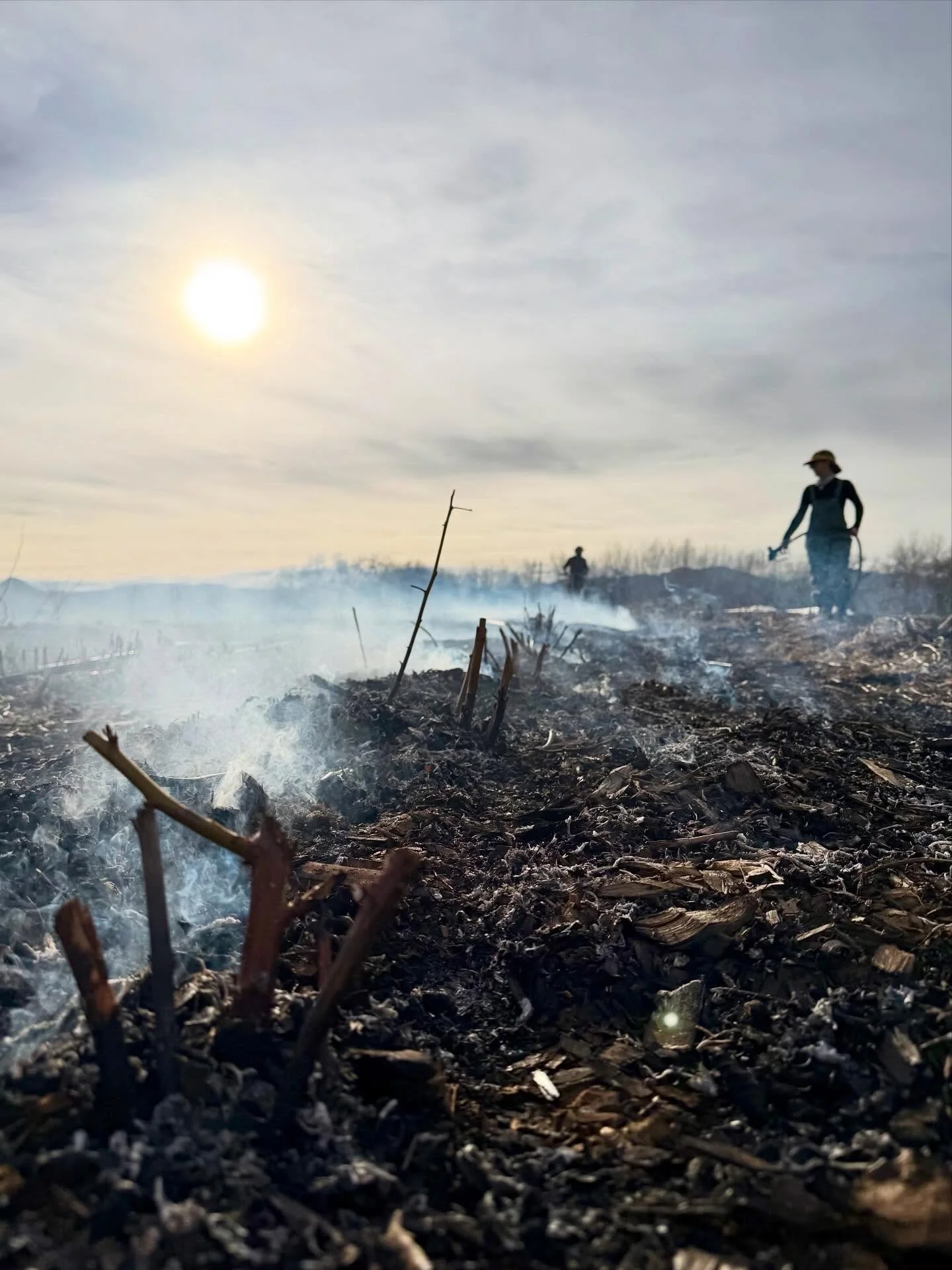 Captain&rsquo;s Log 🪵🌱 03/18/2026 
Endeavors en Fuego.

We have been testing out the flame weeder more. This time creating controlled burns in the perennial and berry patch.. 
It&rsquo;s workin&rsquo; like a dang ol&rsquo; charm thus far. 
The flam