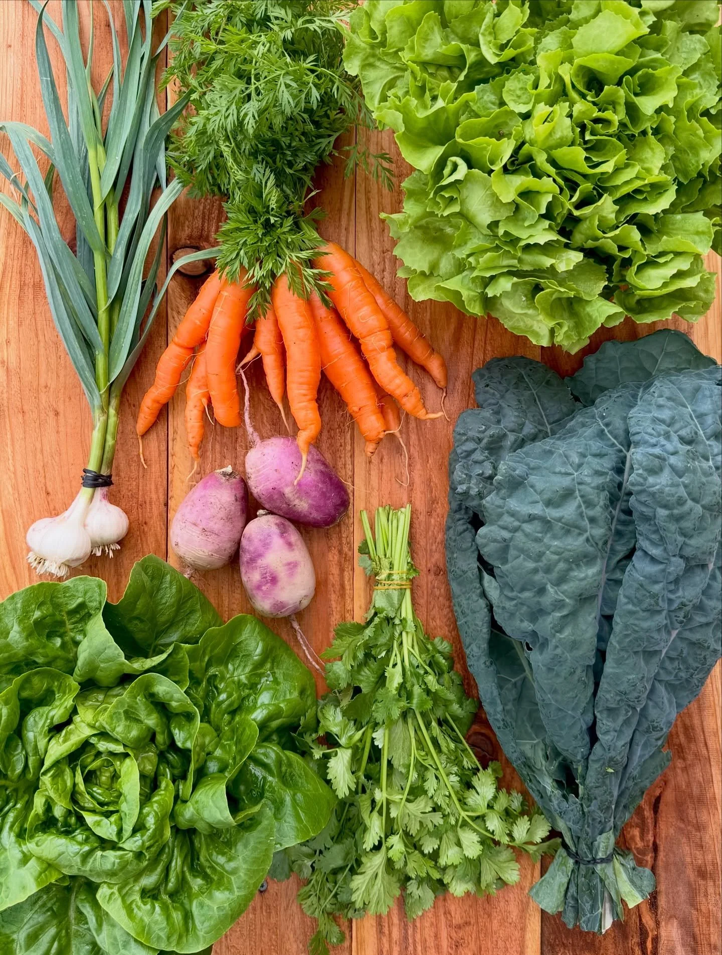 Week 2 💪🏼 
Escarole
Lacinato Kale
Cilantro
Little (mega!) Gem Lettuce
Spring Garlic
Purple Daikon
Carrots