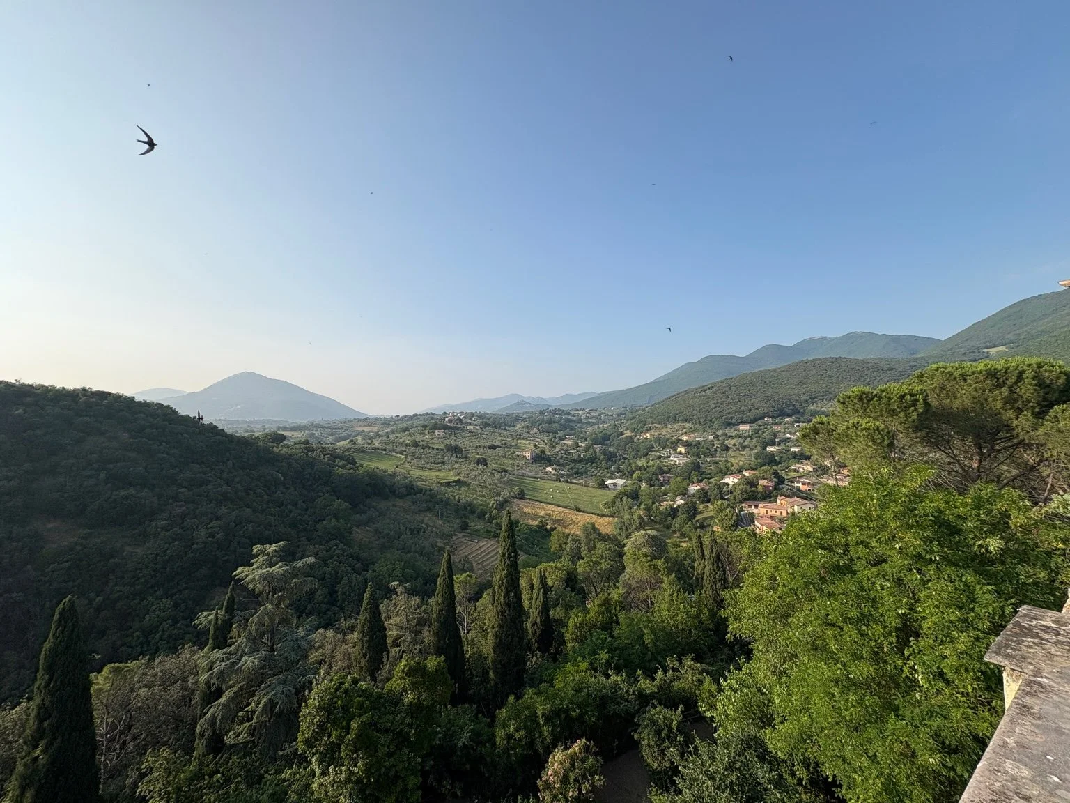 Calm environment for virtual therapy and emotional support