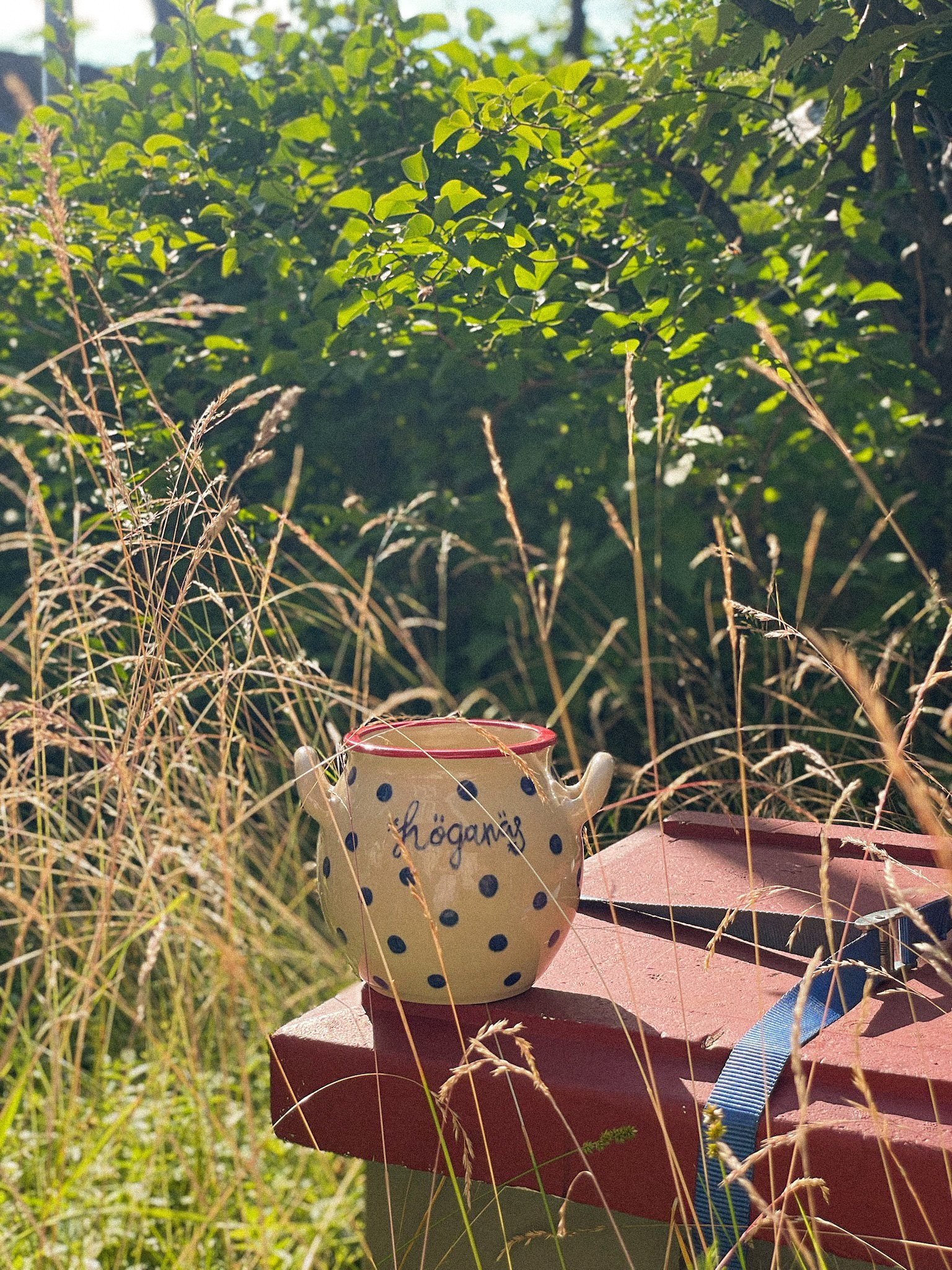 Small Höganäs Krus with Polka Dots