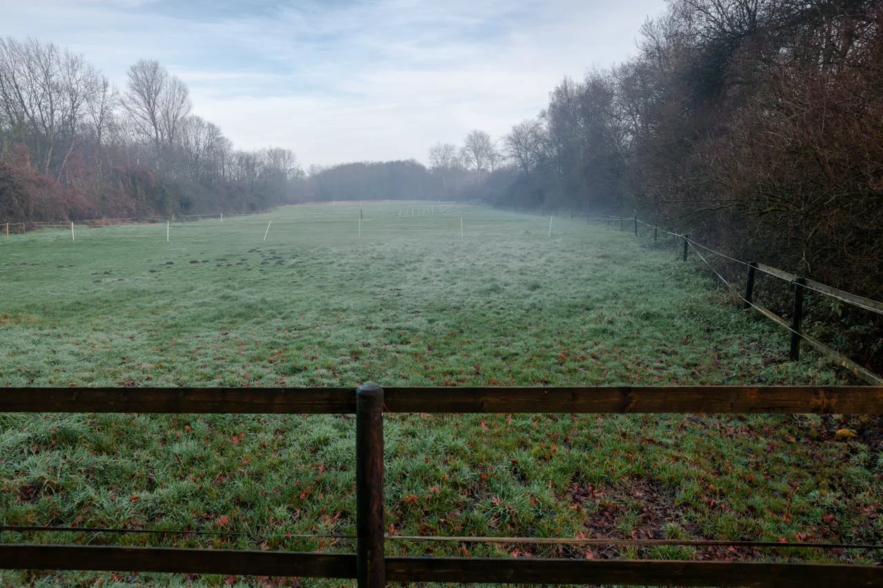 field-with-boundaries