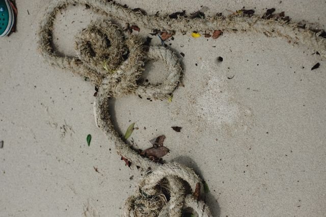 tangled rope on sandy beach