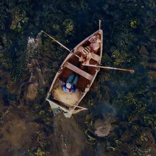 SouthAfrica_Boat_A.jpg