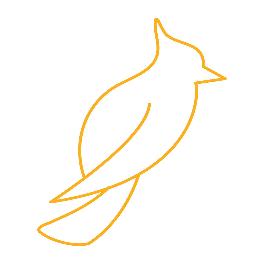 An orange outline of a jaybird, The logo for JayBird Weddings and Events located in Denver, Colorado