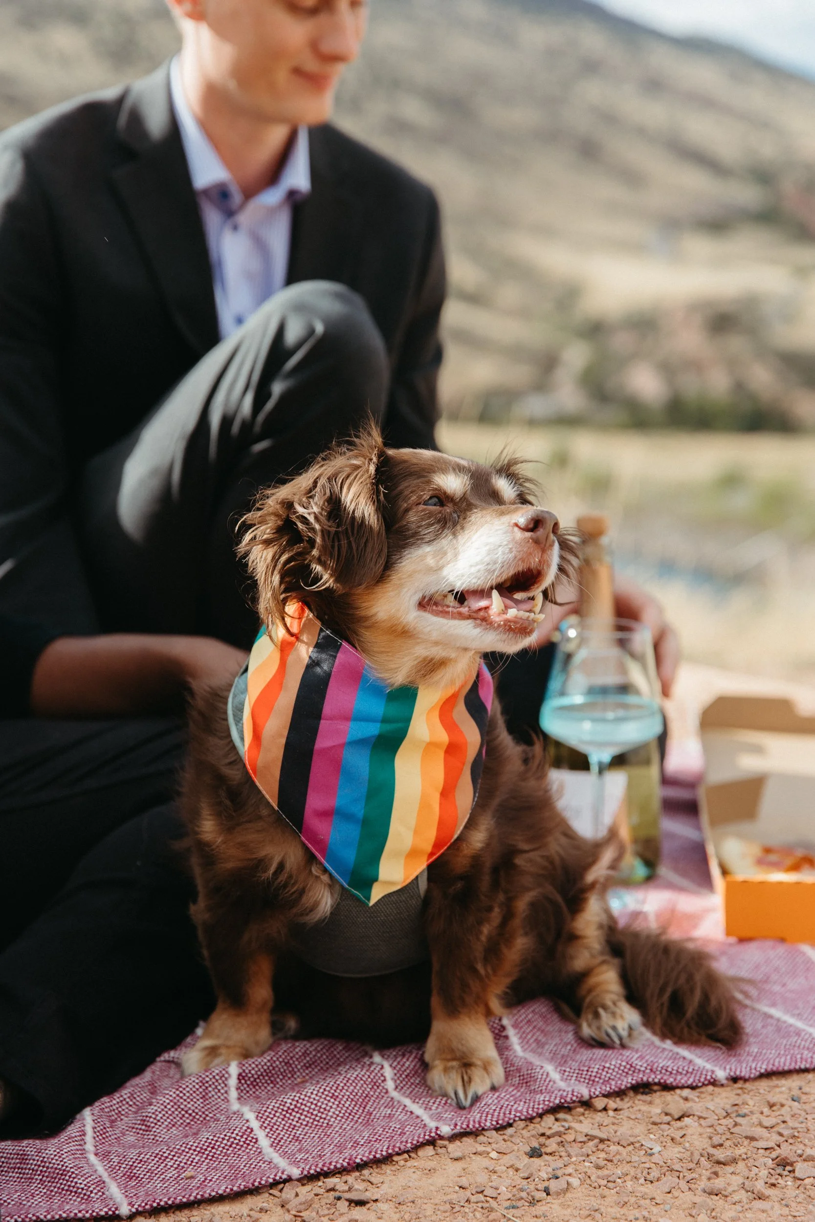 A dog sits with their owners at their LGBTQ+ friendly wedding planned by JayBird Events