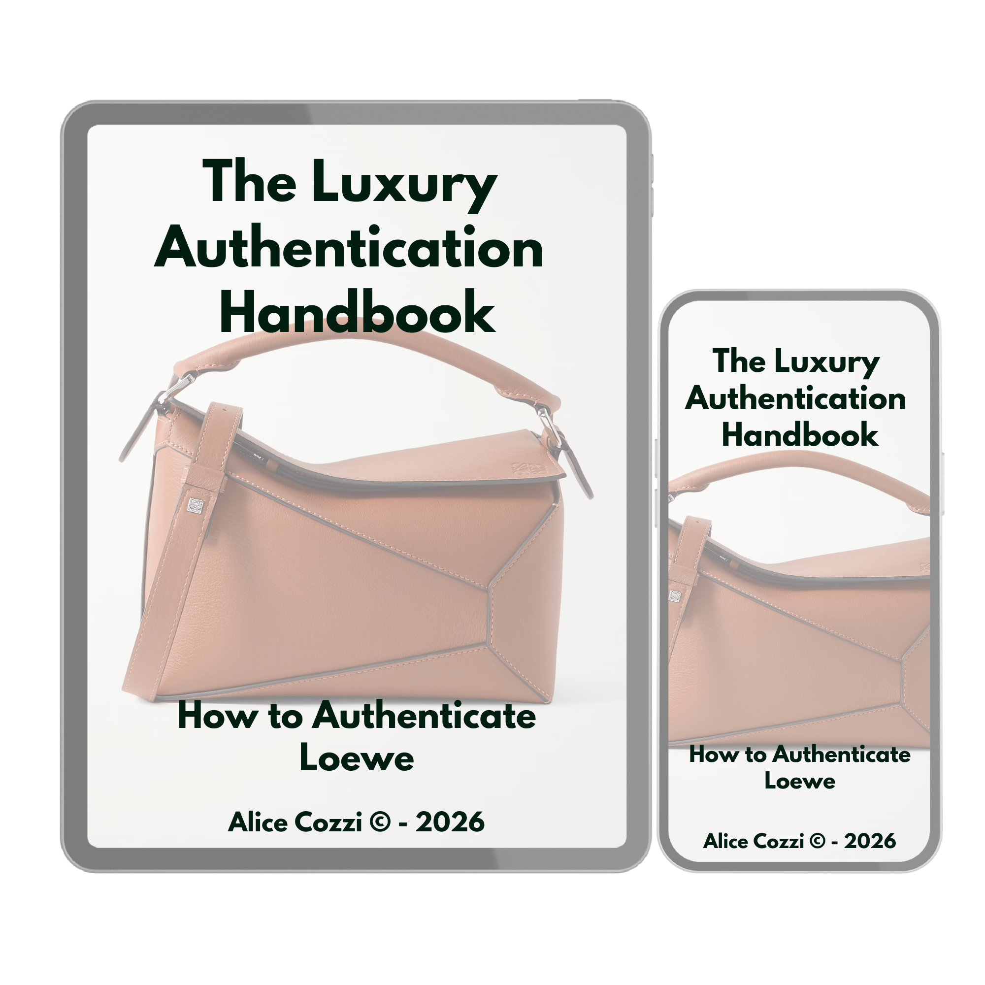 loewe-authentication-guide.png