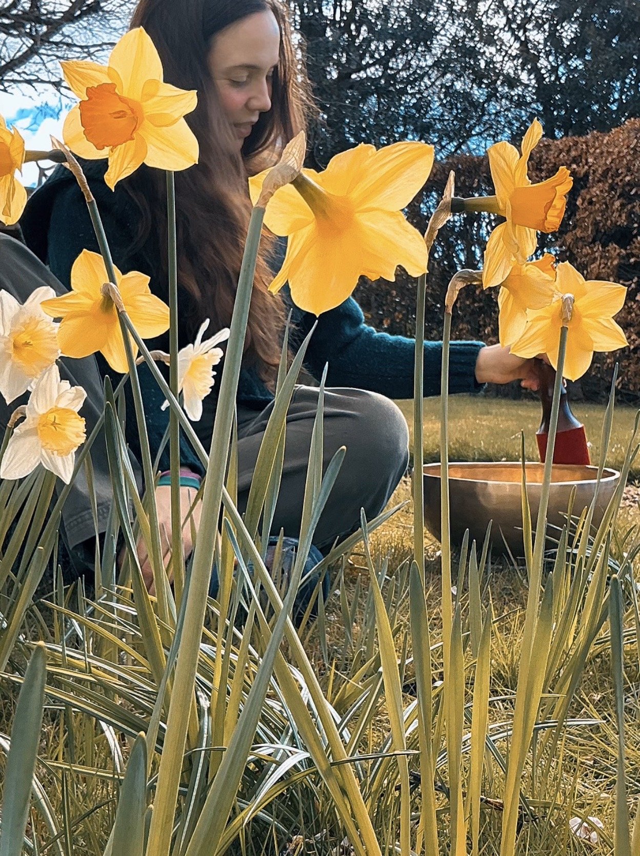 Springtime Yoga Nidra and Sound Bath with Sulaire Sounds