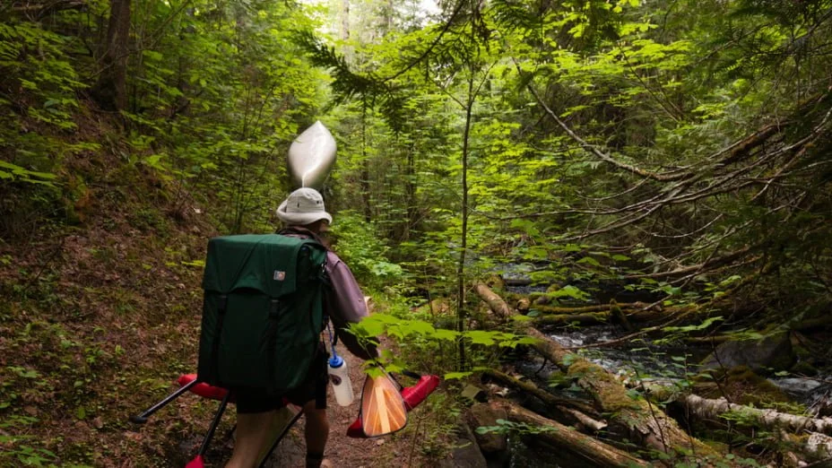 Hiker with a large backpack, wearing a hat, walking through a dense green forest near a small stream.