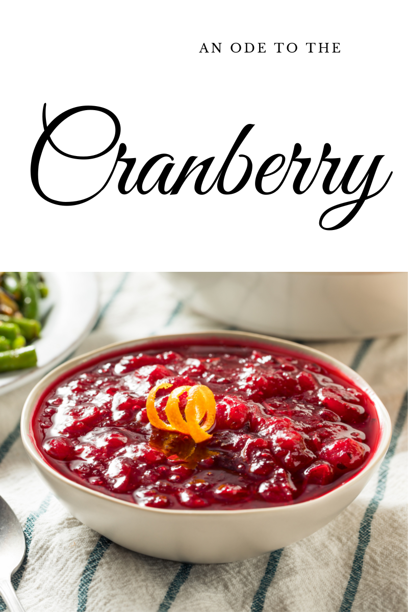 Homemade Cranberry Sauce