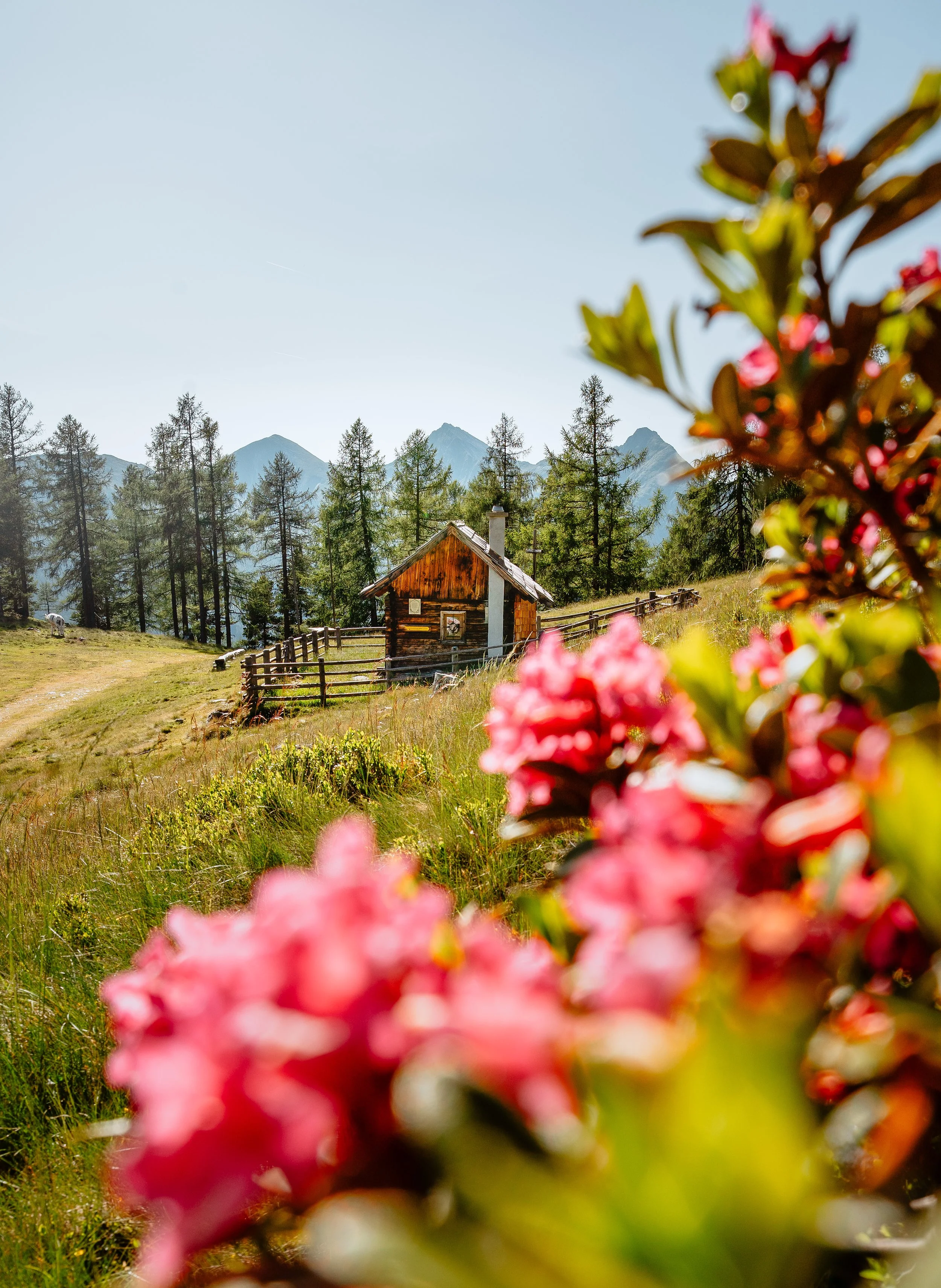 DSC04939-2 Kopie.jpg