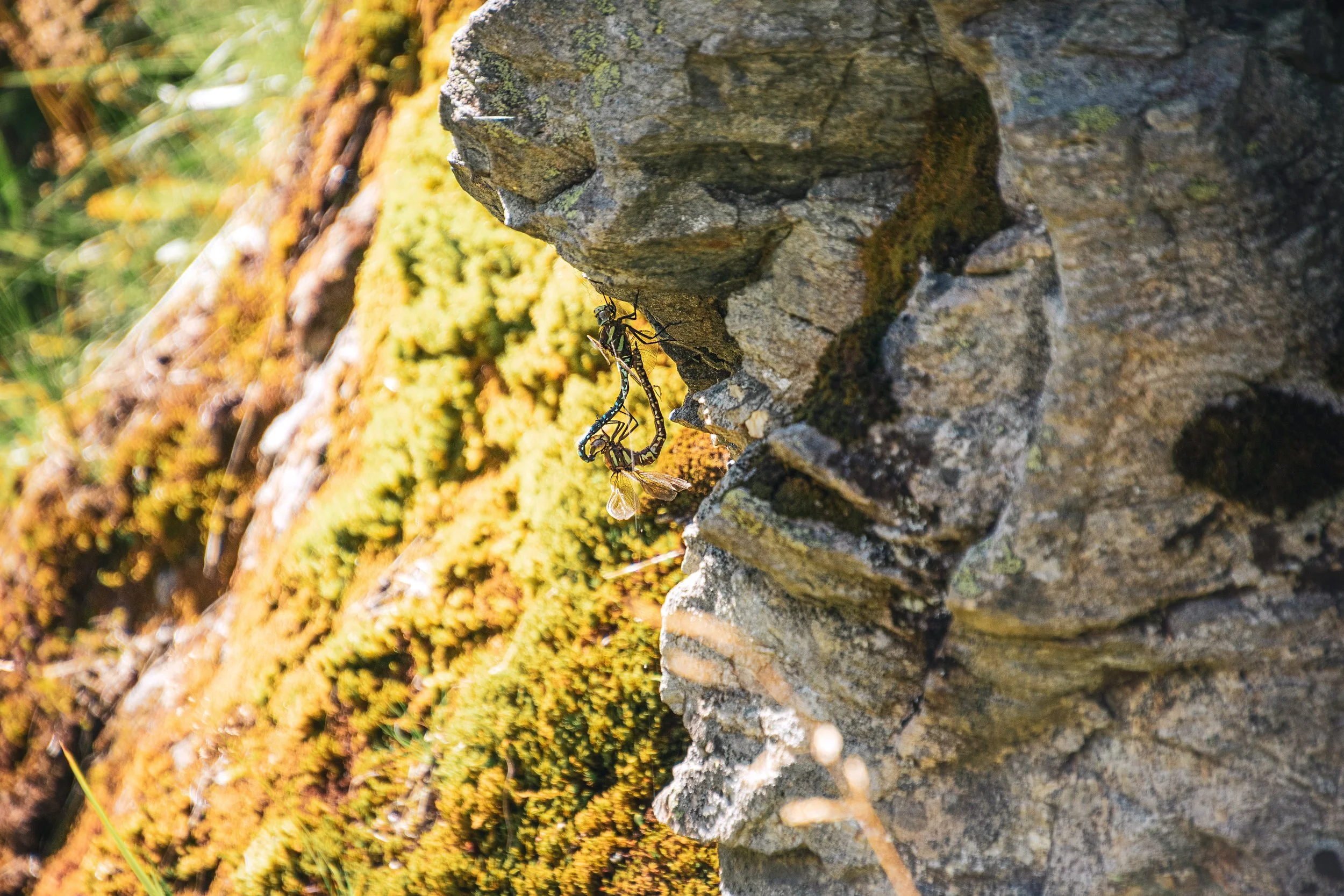 _DSC0934-Bearbeitet Kopie.jpg