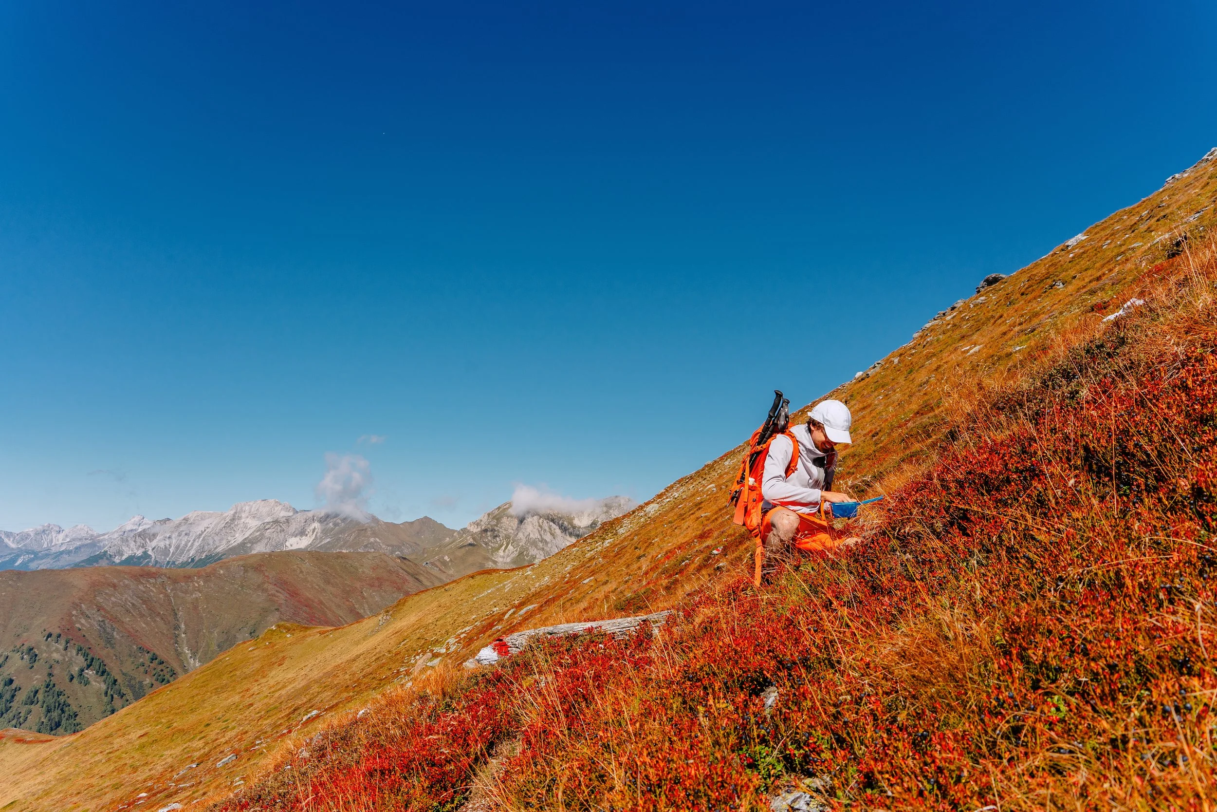 Ein Wanderer mit Rucksack und Hut, der auf einer roten, bergigen Wiese im Gebirge im Herbst unterwegs ist.