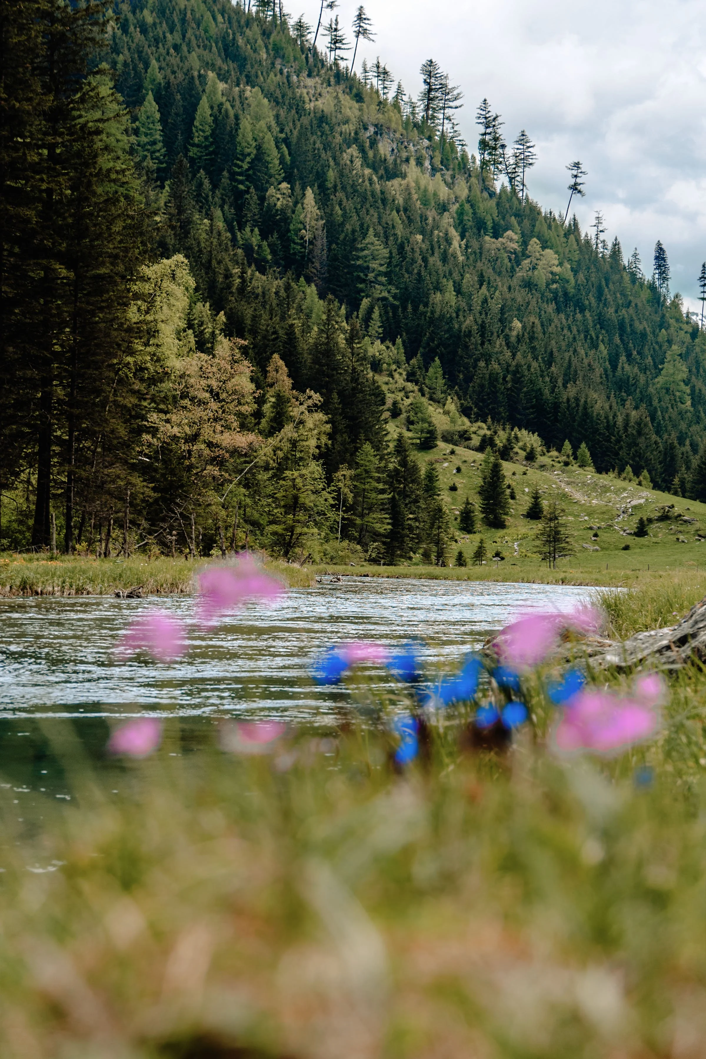 Spaziergang nach Hinterweißpriach