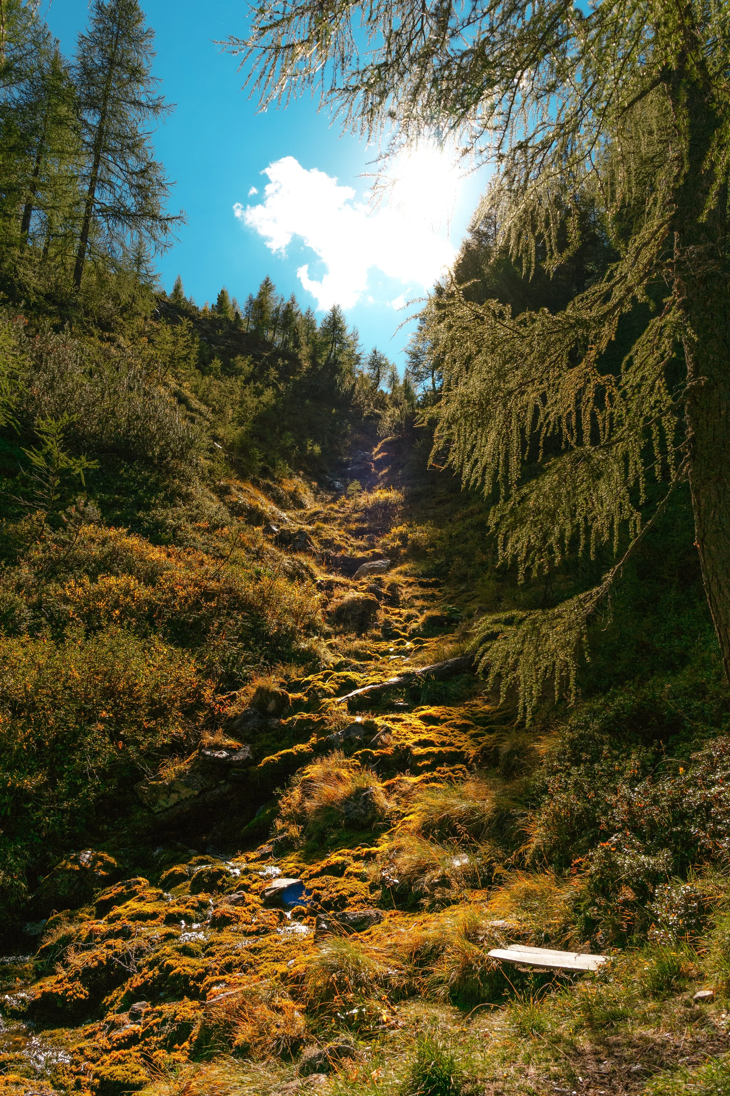 Idyllisch das Bankerl am Bacherl