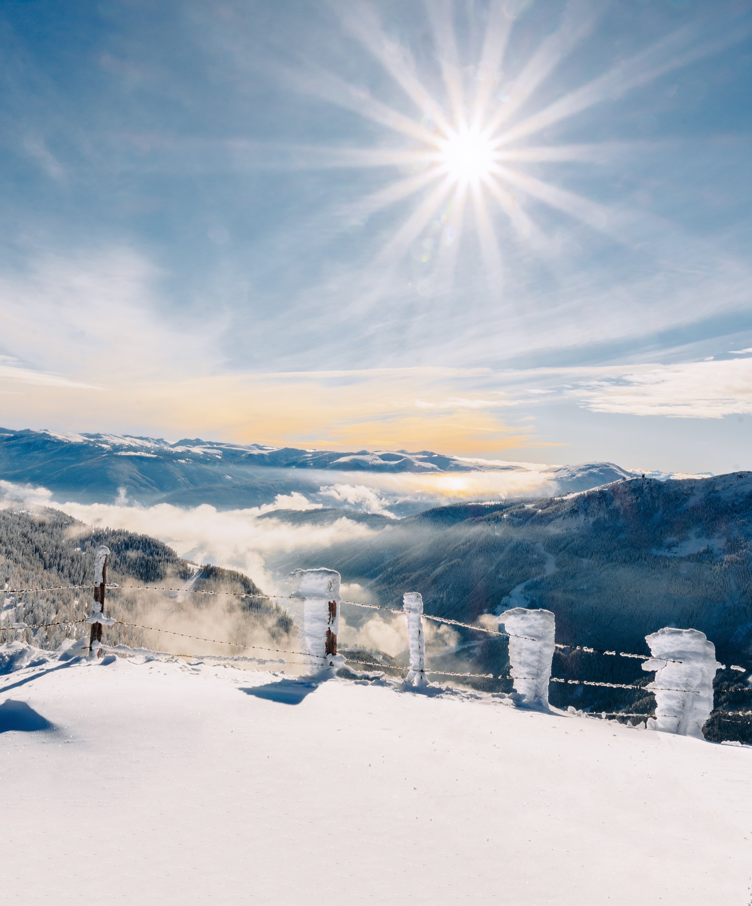 _DSC0626 Kopie 2.jpg