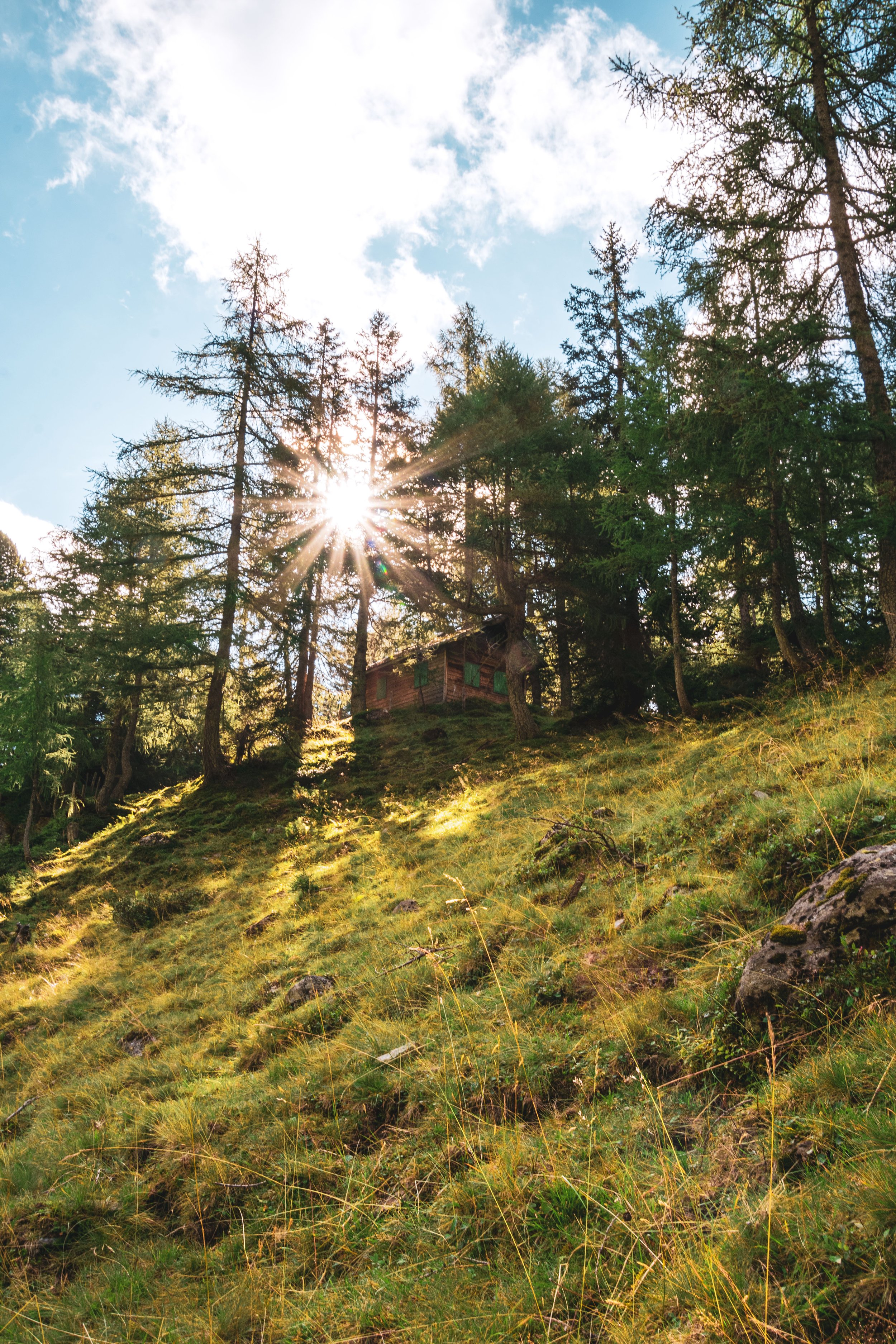 Jagdhütte im Wald vor dem Gollinganger